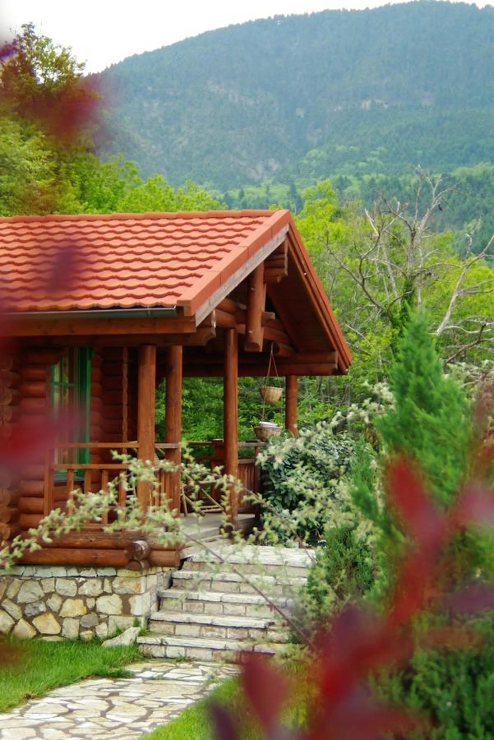 Spring in Xenios Chalet