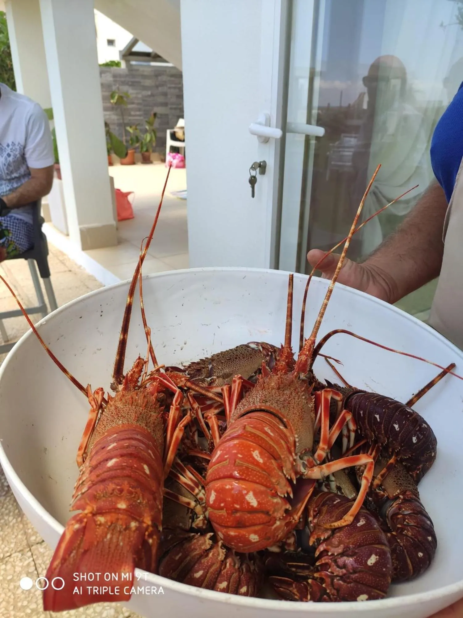 SUITEBEACH b&b and resort