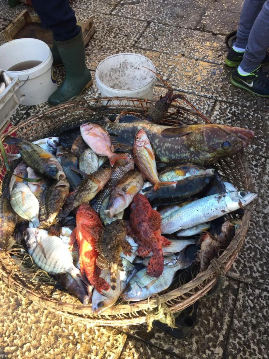 Food and drinks in SUITEBEACH b&b and resort