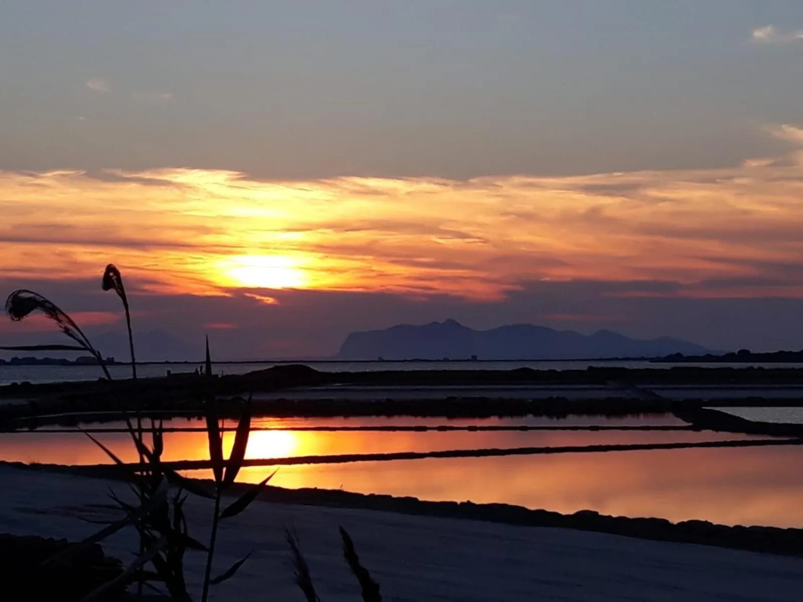 SUITEBEACH b&b and resort