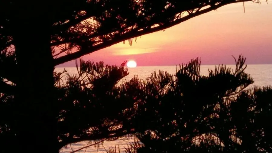 Sea view in SUITEBEACH b&b and resort