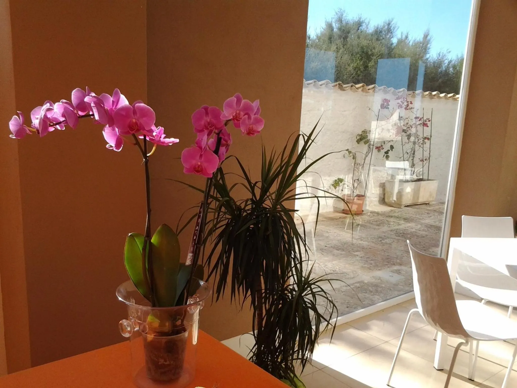 Decorative detail in SUITEBEACH b&b and resort