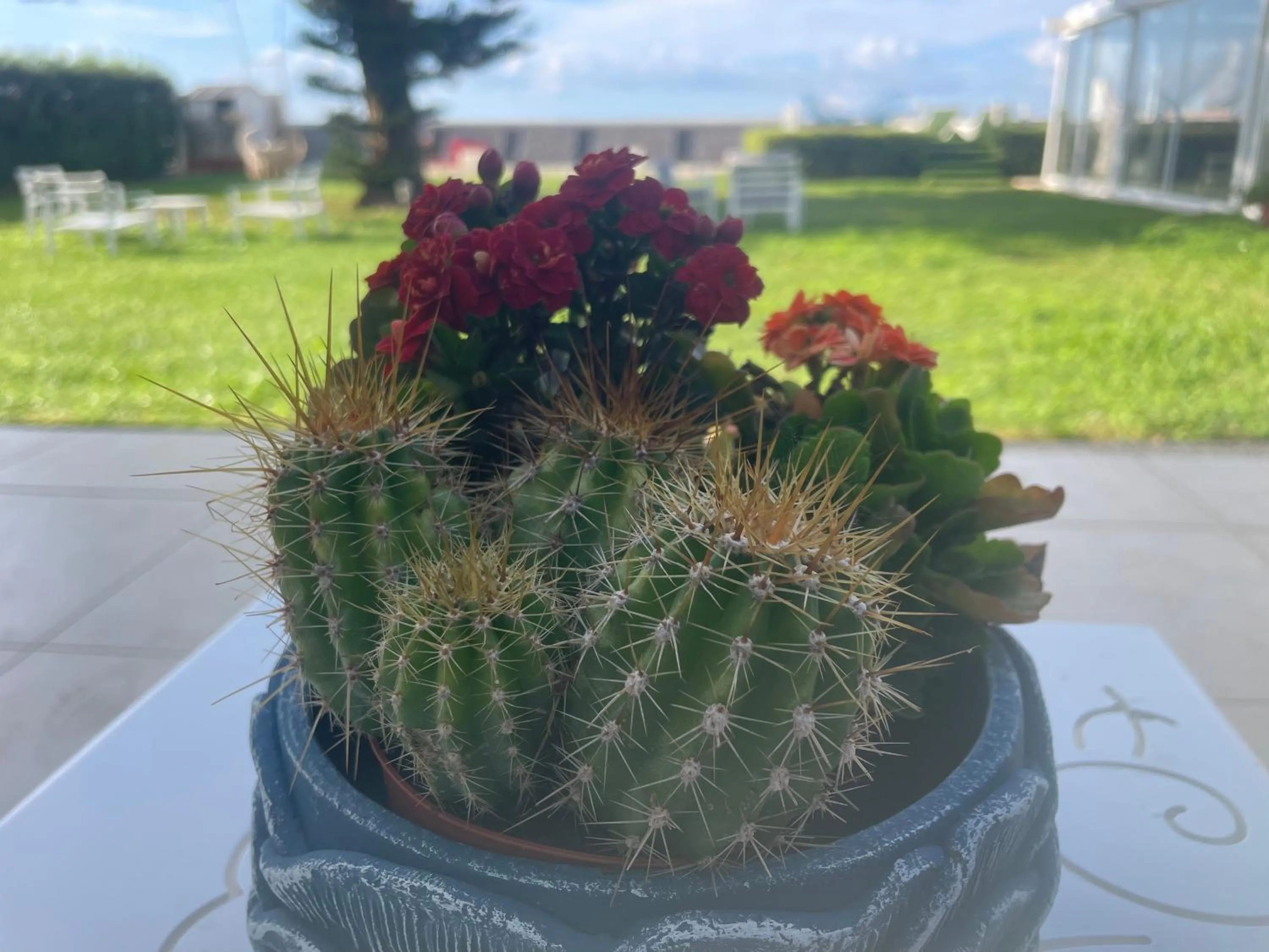 SUITEBEACH b&b and resort