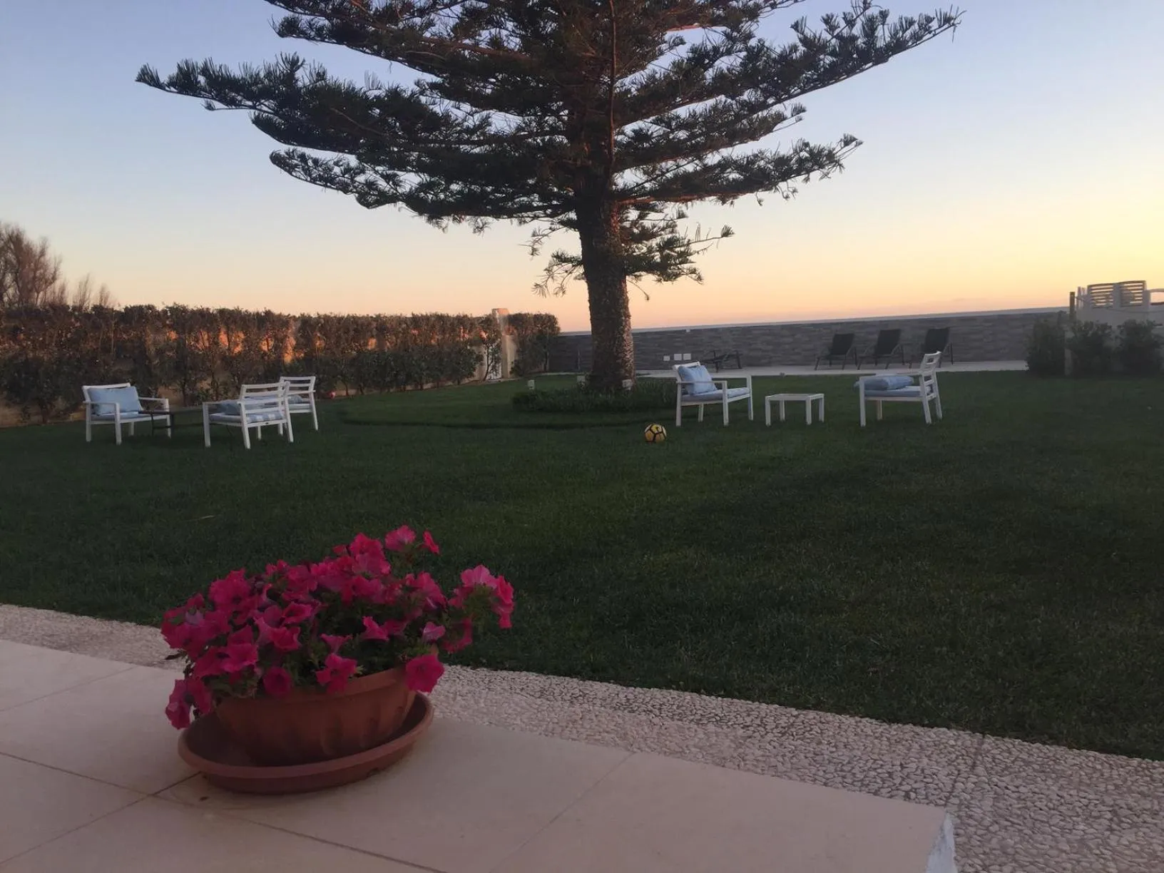 Garden in SUITEBEACH b&b and resort