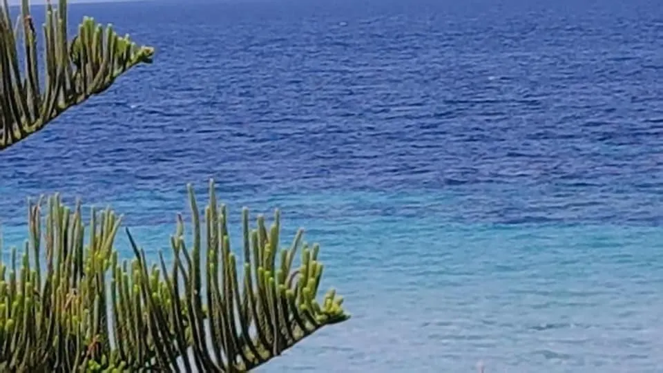 Decorative detail in SUITEBEACH b&b and resort