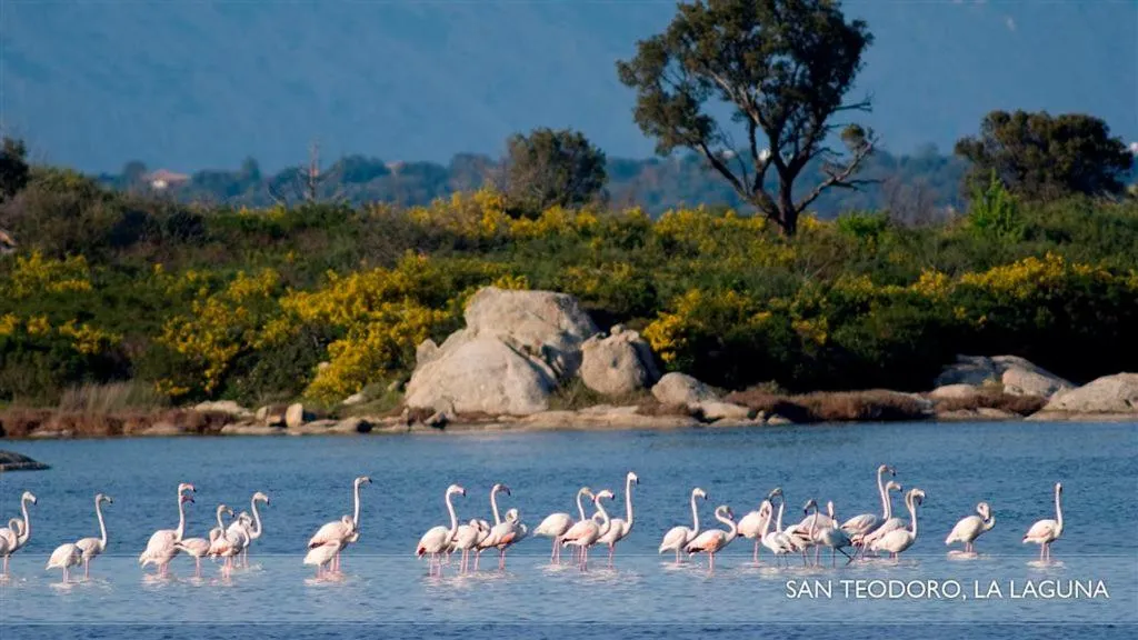 Area and facilities in Li Teggi Turismo Rurale
