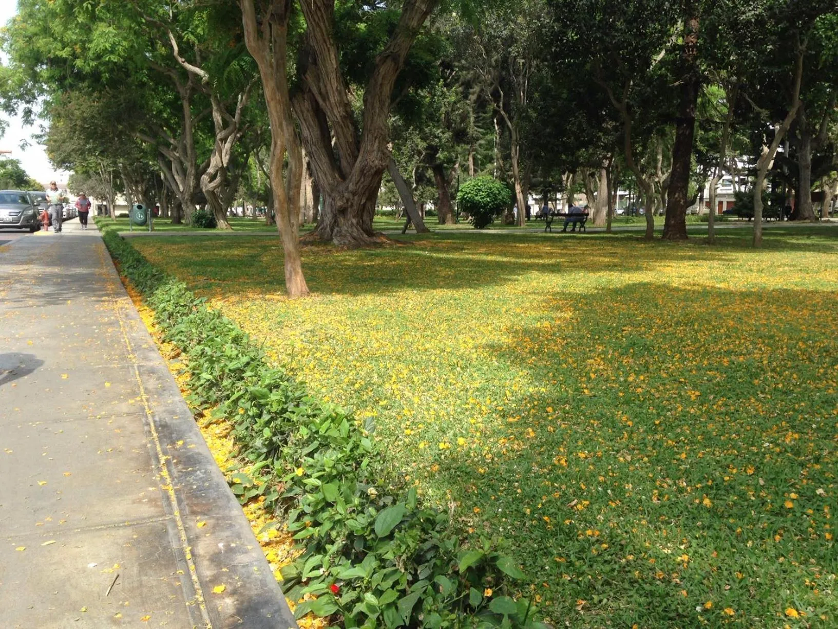 Natural landscape in Uli´s house