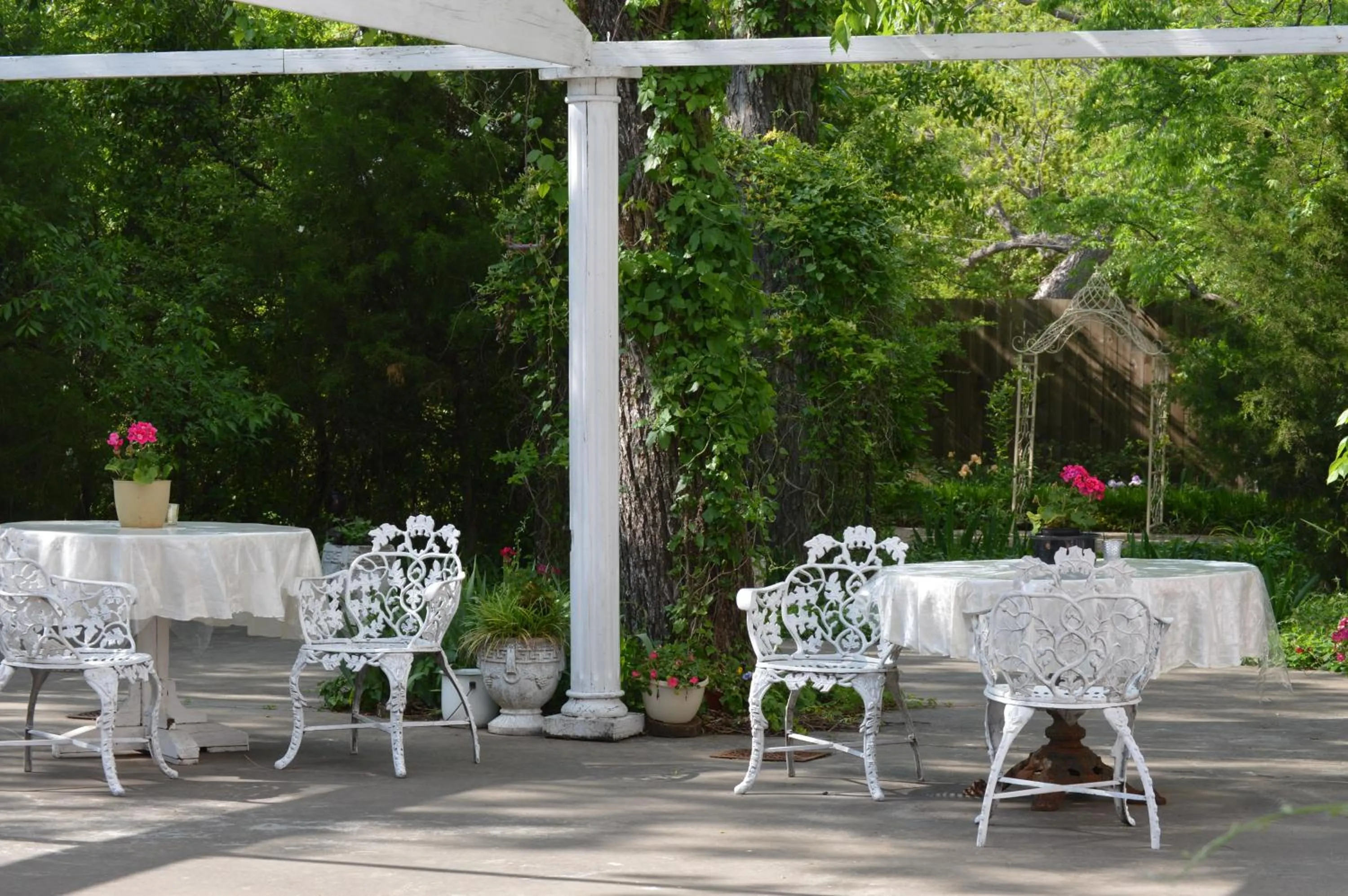 Garden in Carleton House Bed and Breakfast