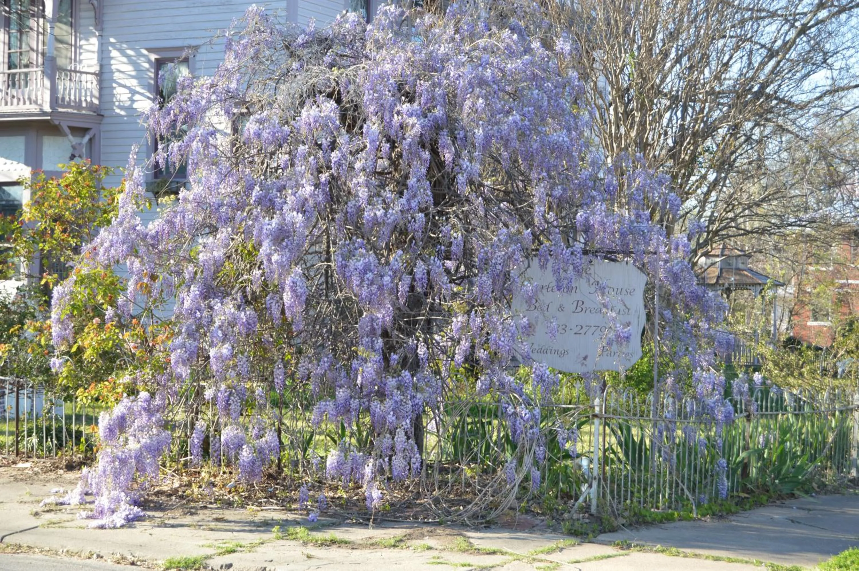 Spring in Carleton House Bed and Breakfast