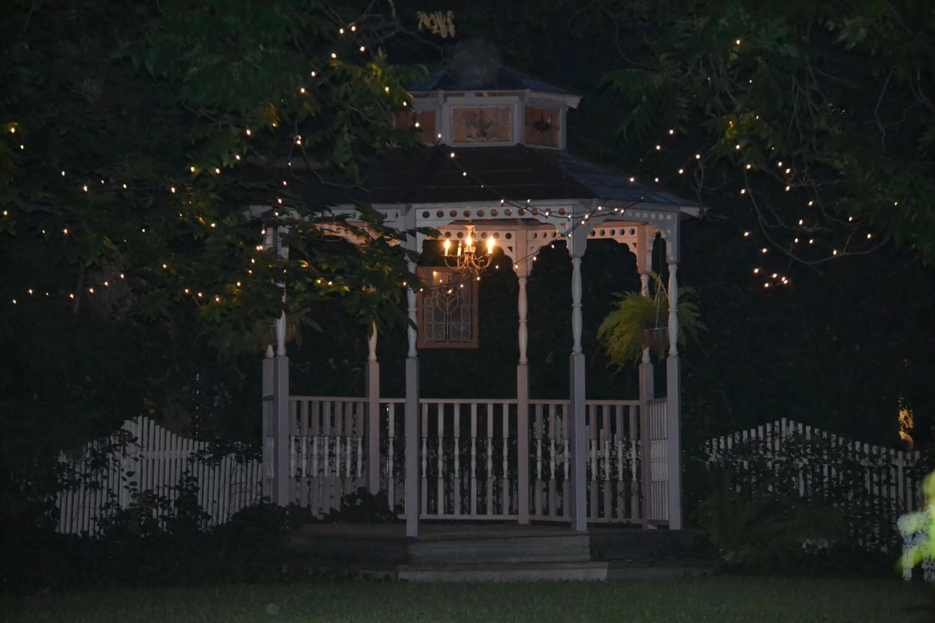 Garden in Carleton House Bed and Breakfast