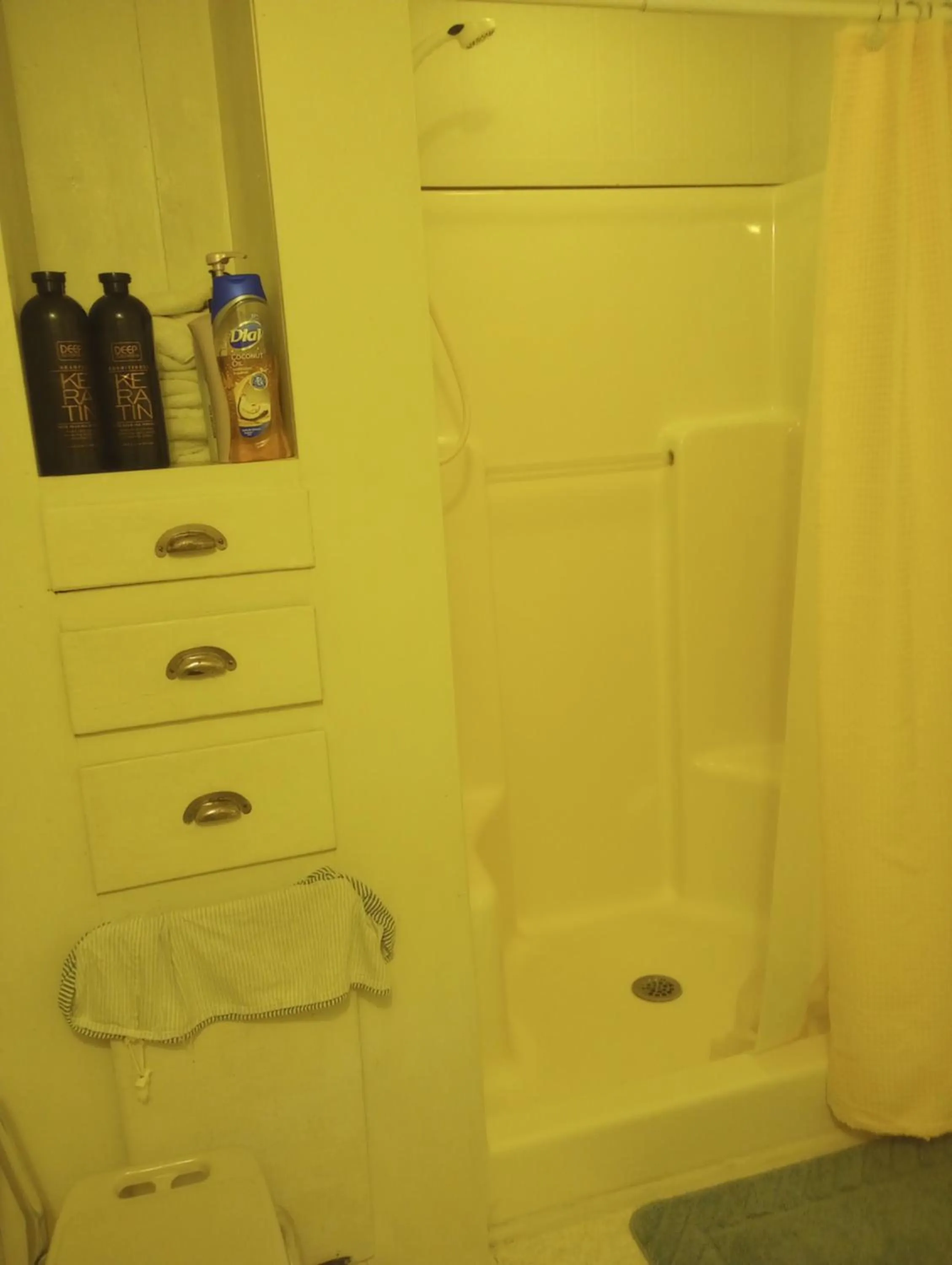 Shower in Carleton House Bed and Breakfast