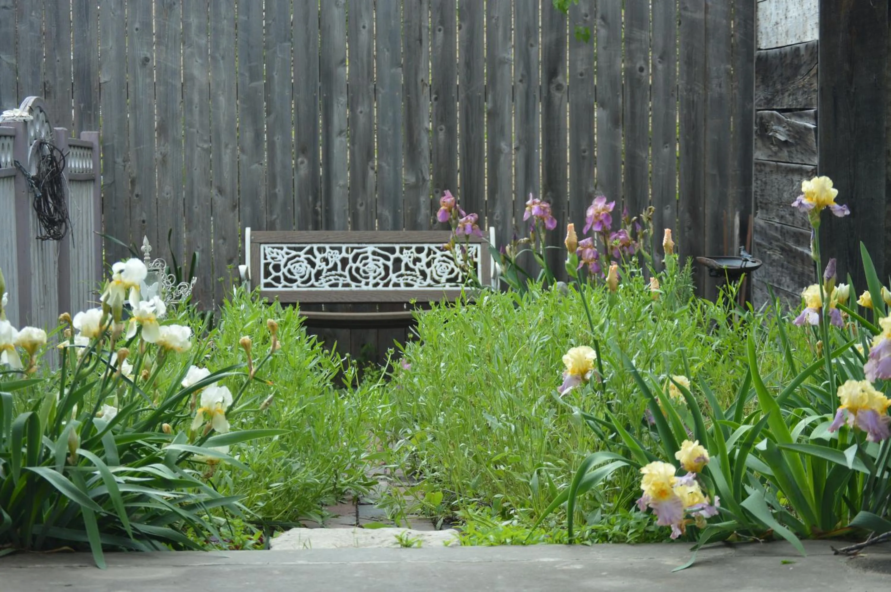 Summer in Carleton House Bed and Breakfast