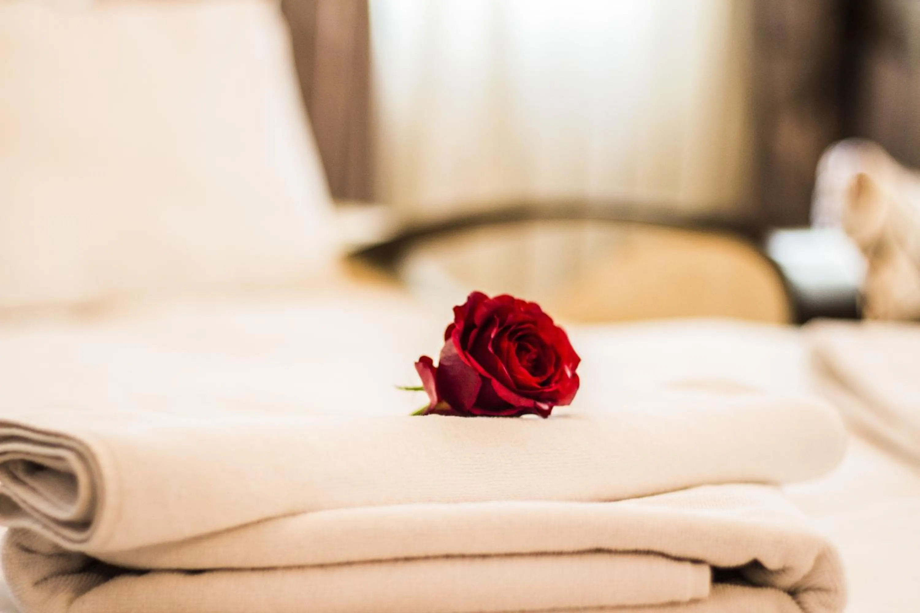 Other, Bed in Feyza Apart