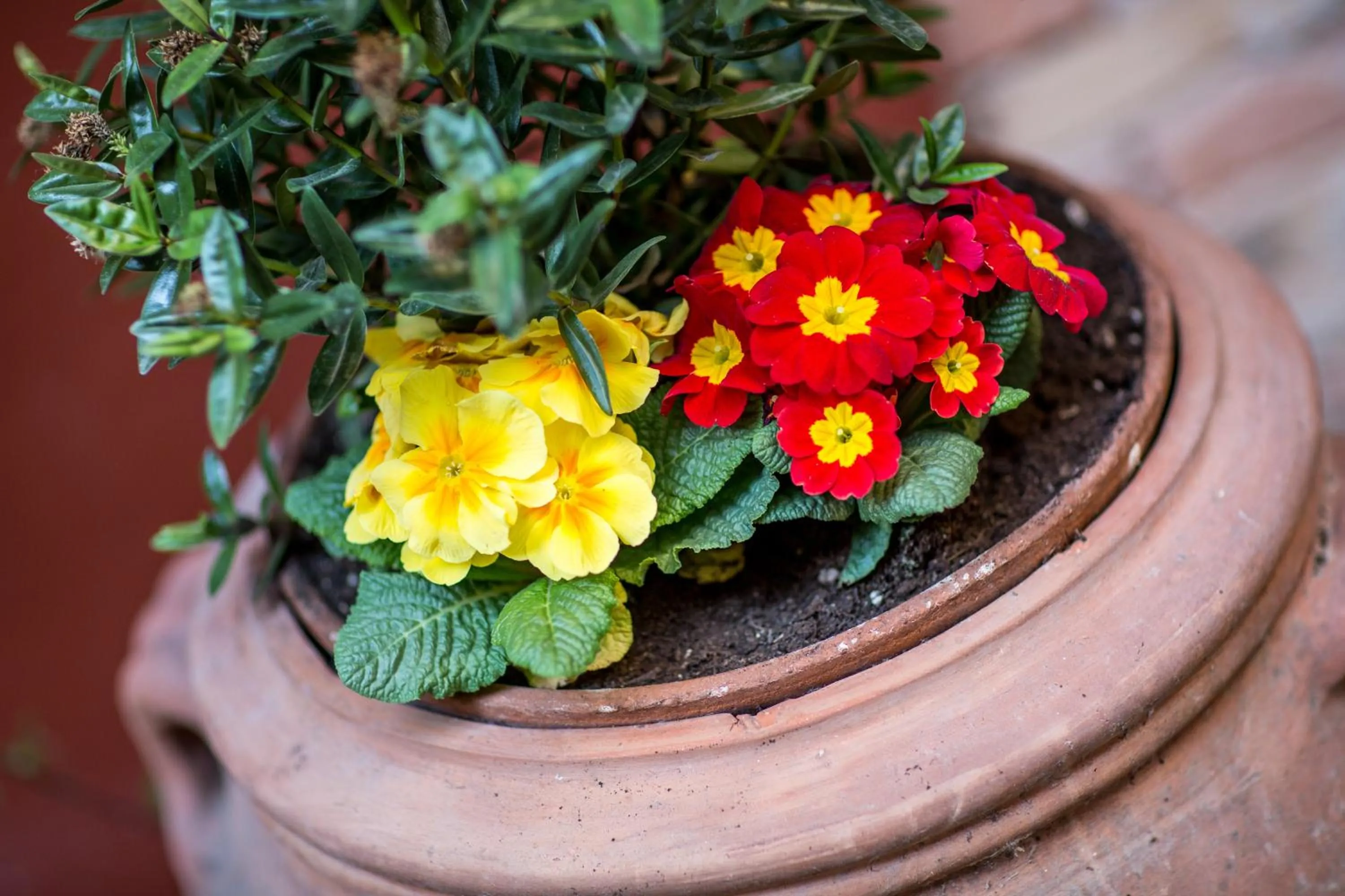 Decorative detail in Camere Centro Storico