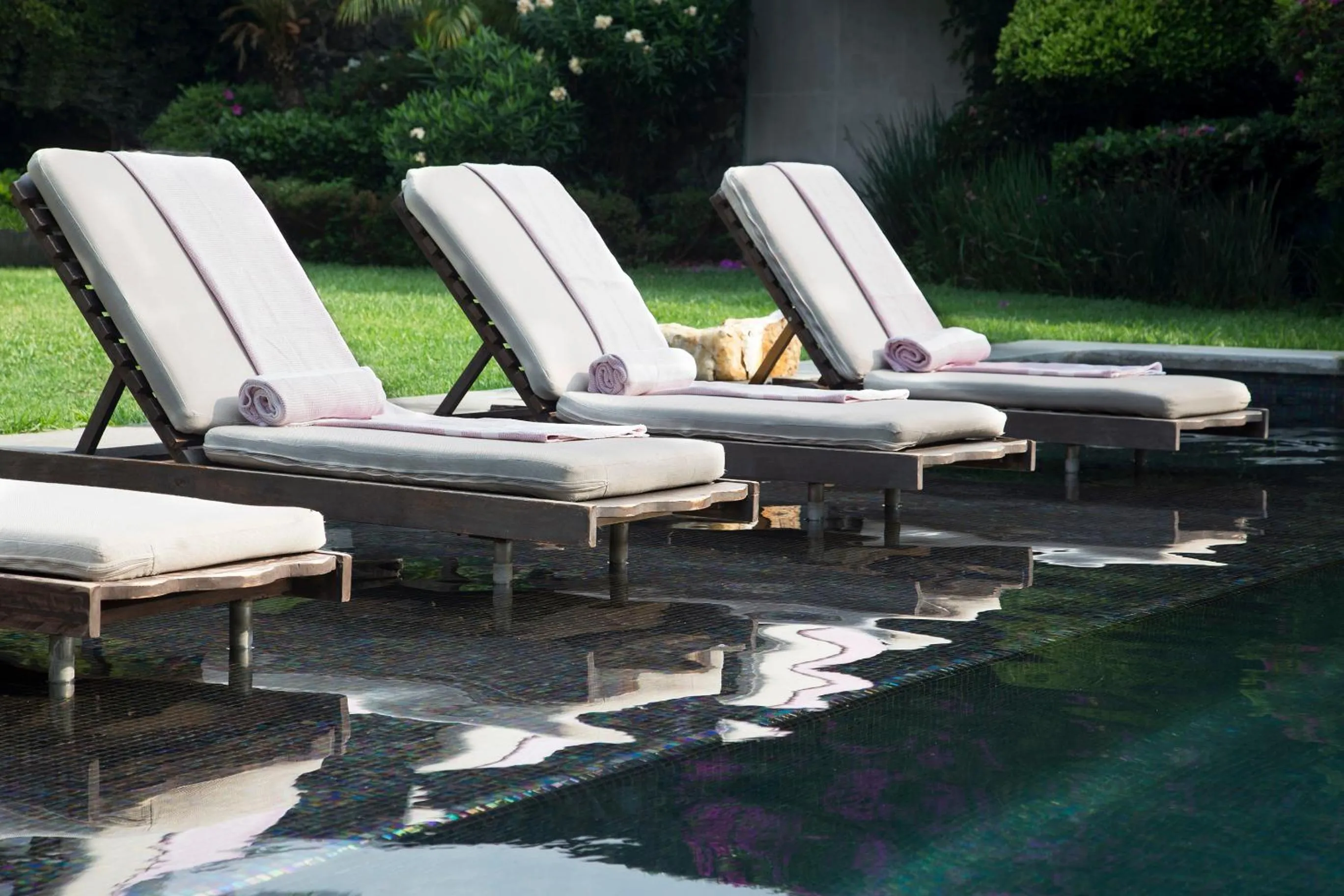 Garden in Hotel Boutique Casa Fernanda