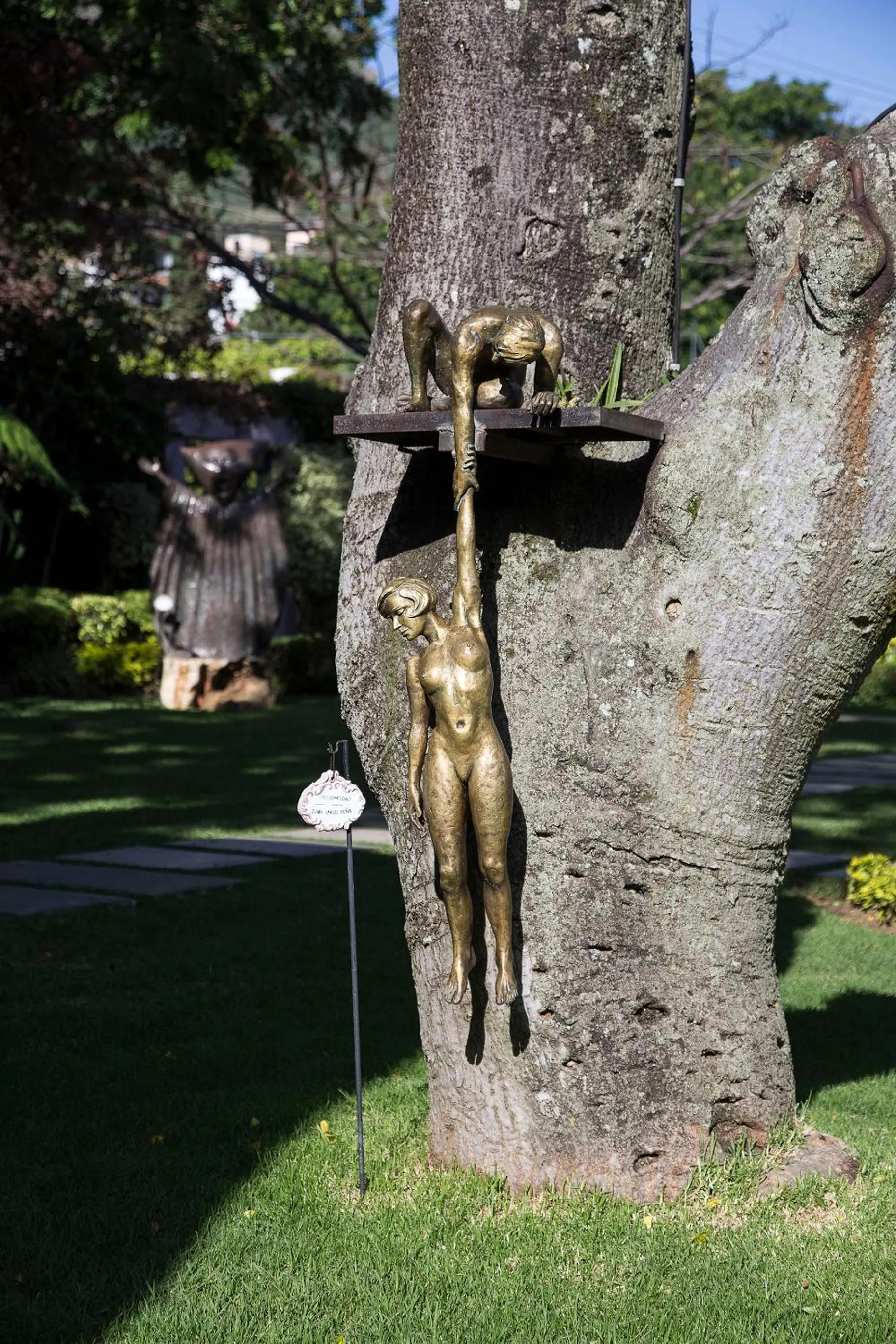 Garden in Hotel Boutique Casa Fernanda