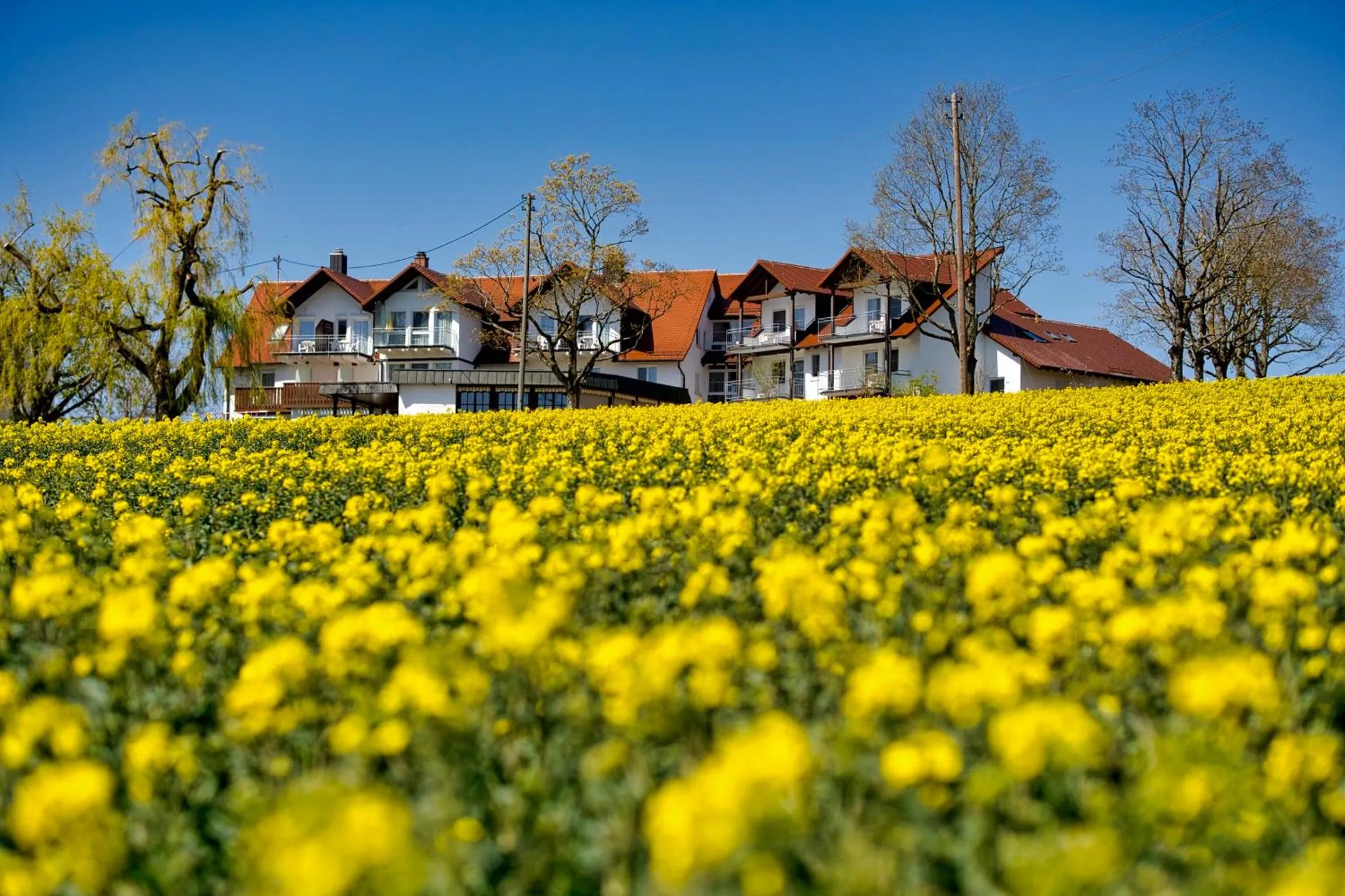 Property building in Landhotel Schellenberg