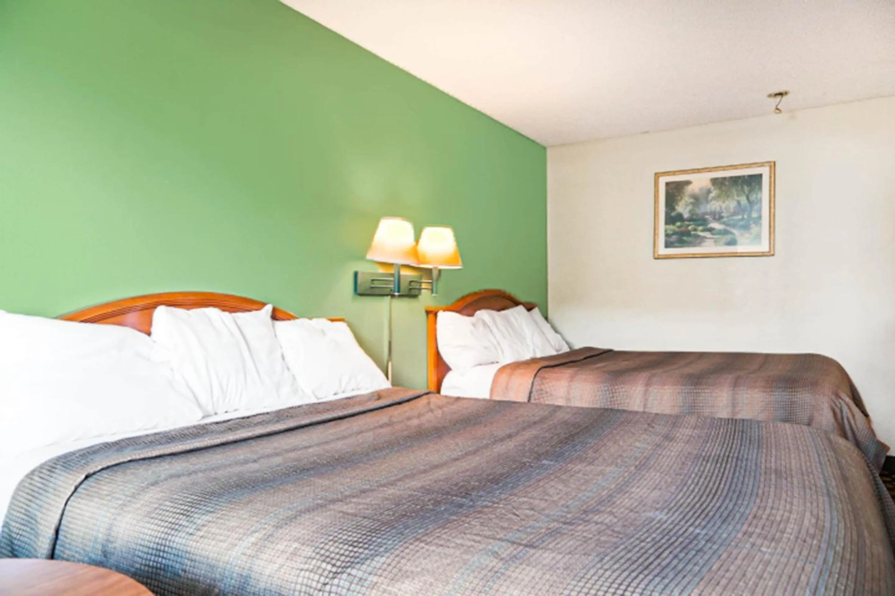 Bedroom, Bed in Economy Inn By OYO Ashburn