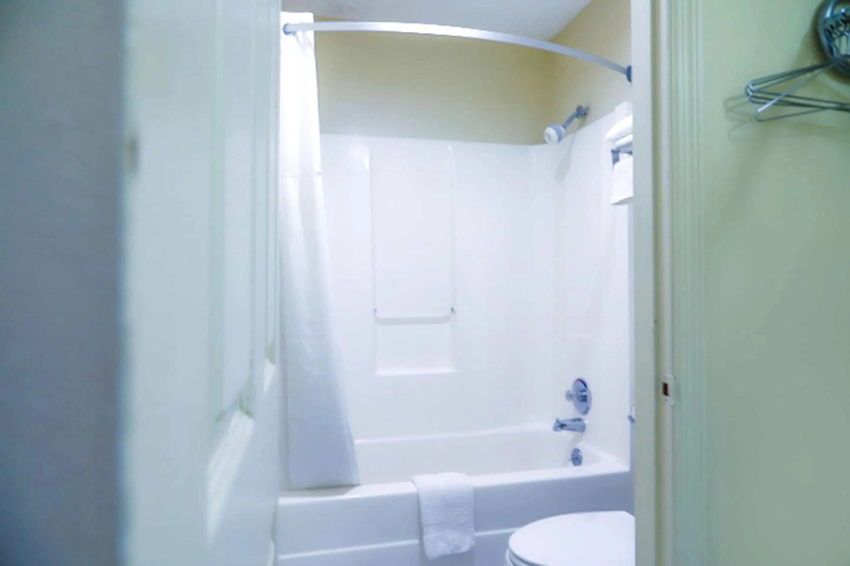 Bathroom in Economy Inn By OYO Ashburn