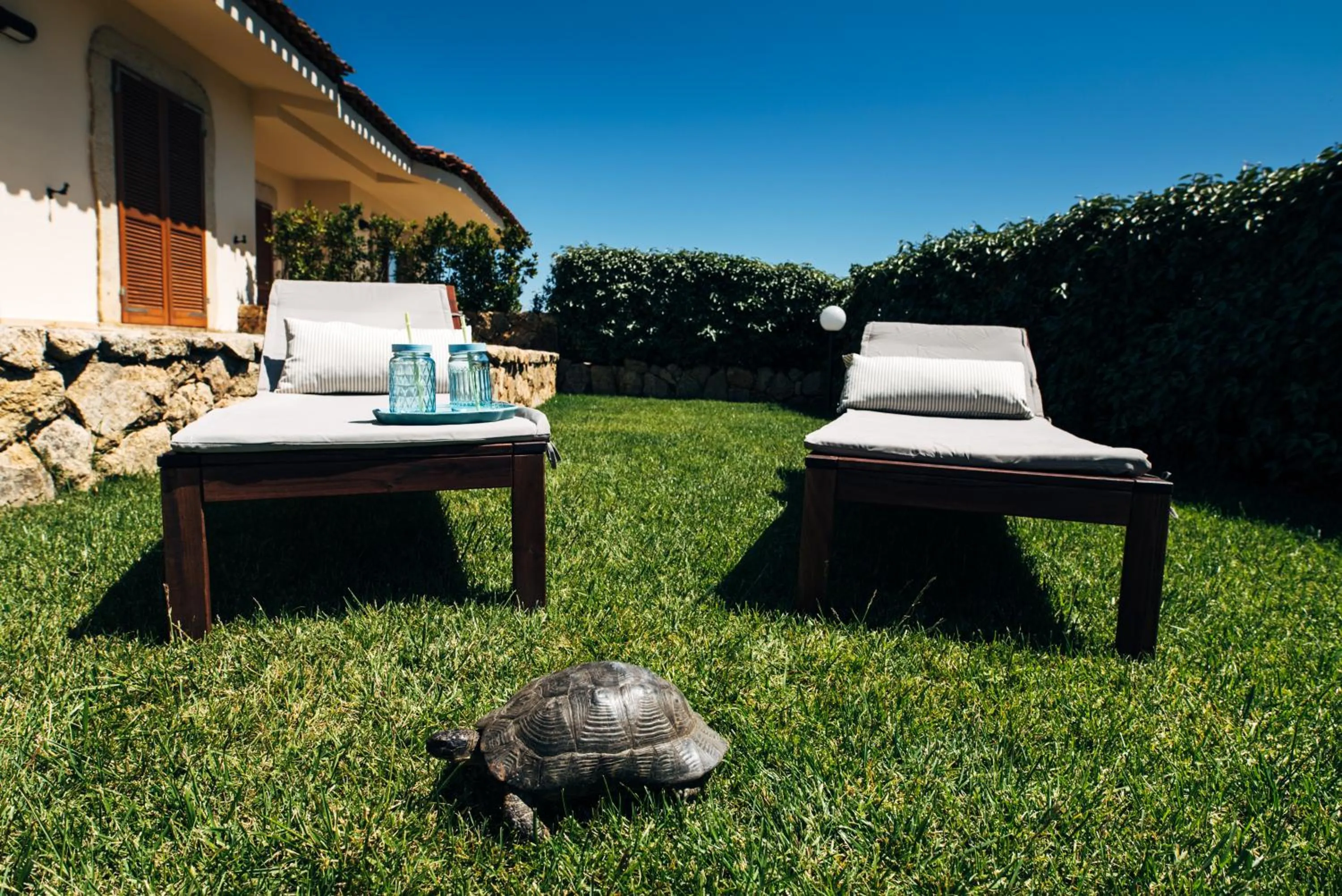 Pets in Le Ville Le Saline