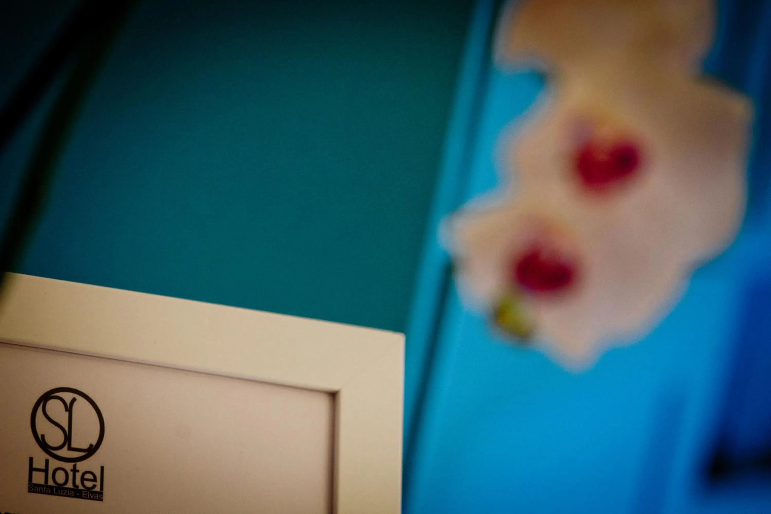 Decorative detail in SL Hotel Santa Luzia – Elvas