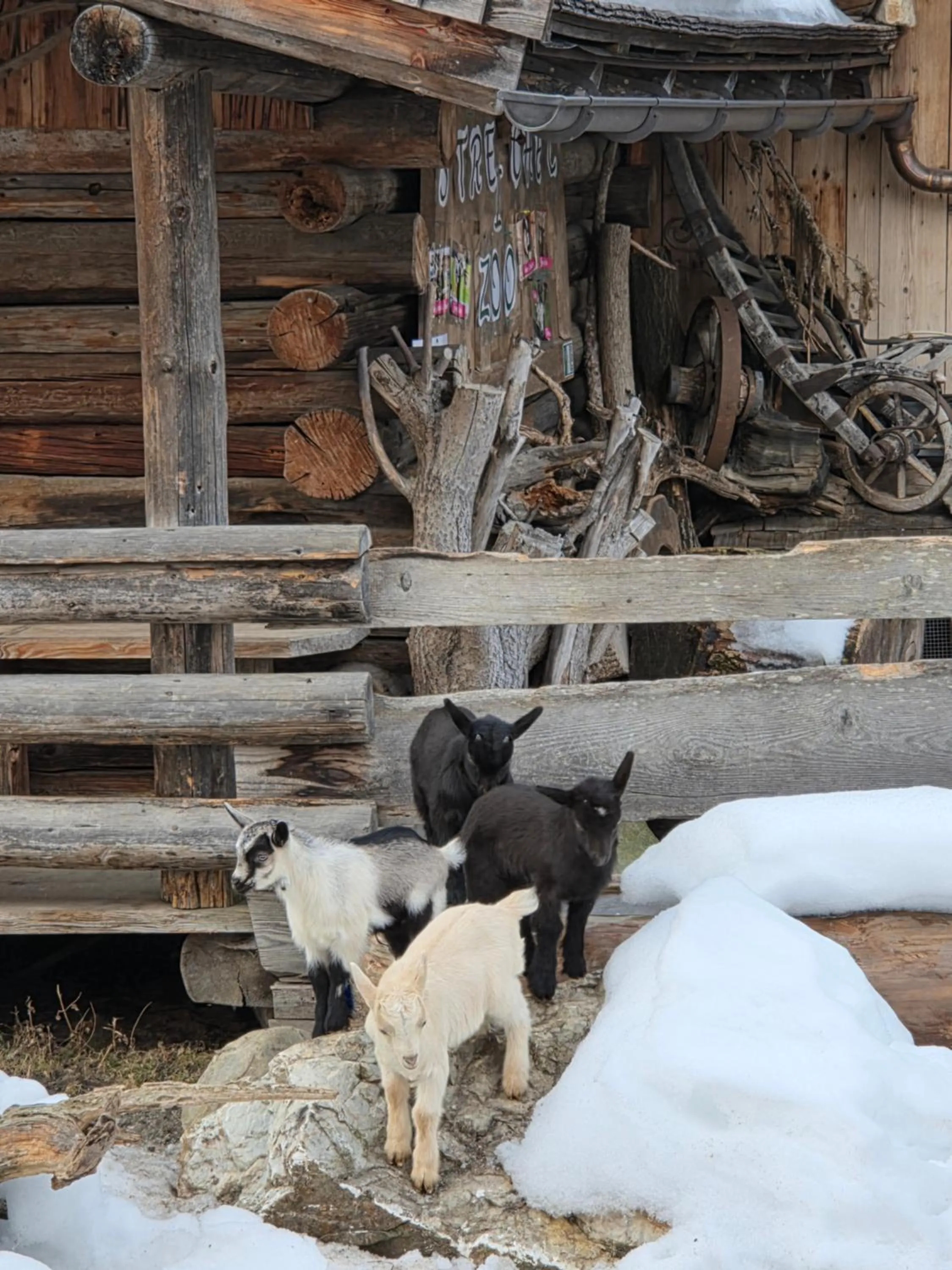 Sieglhub Chalets - Appartements - Hotel