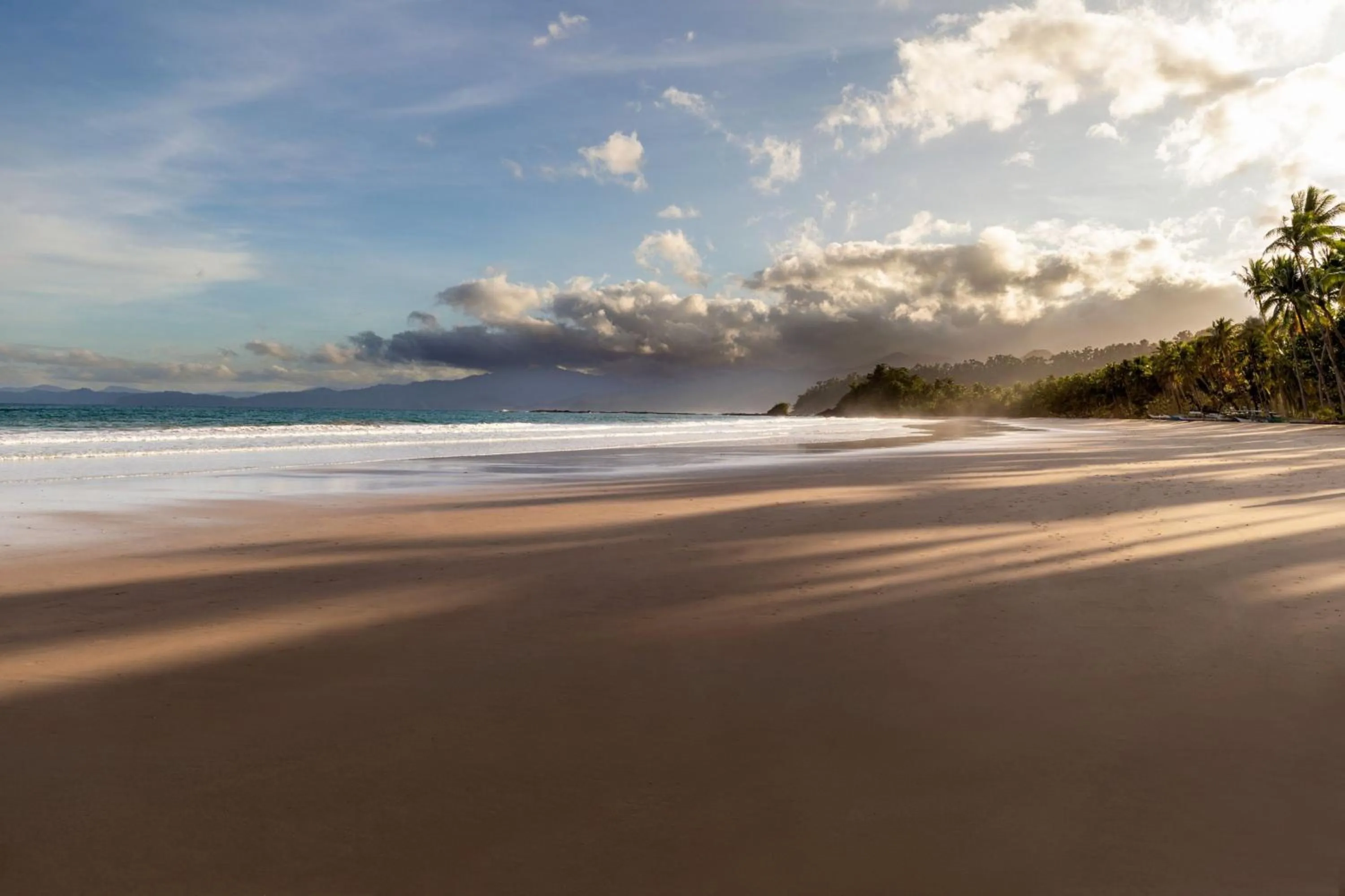 Beach in Four Points by Sheraton Palawan Puerto Princesa