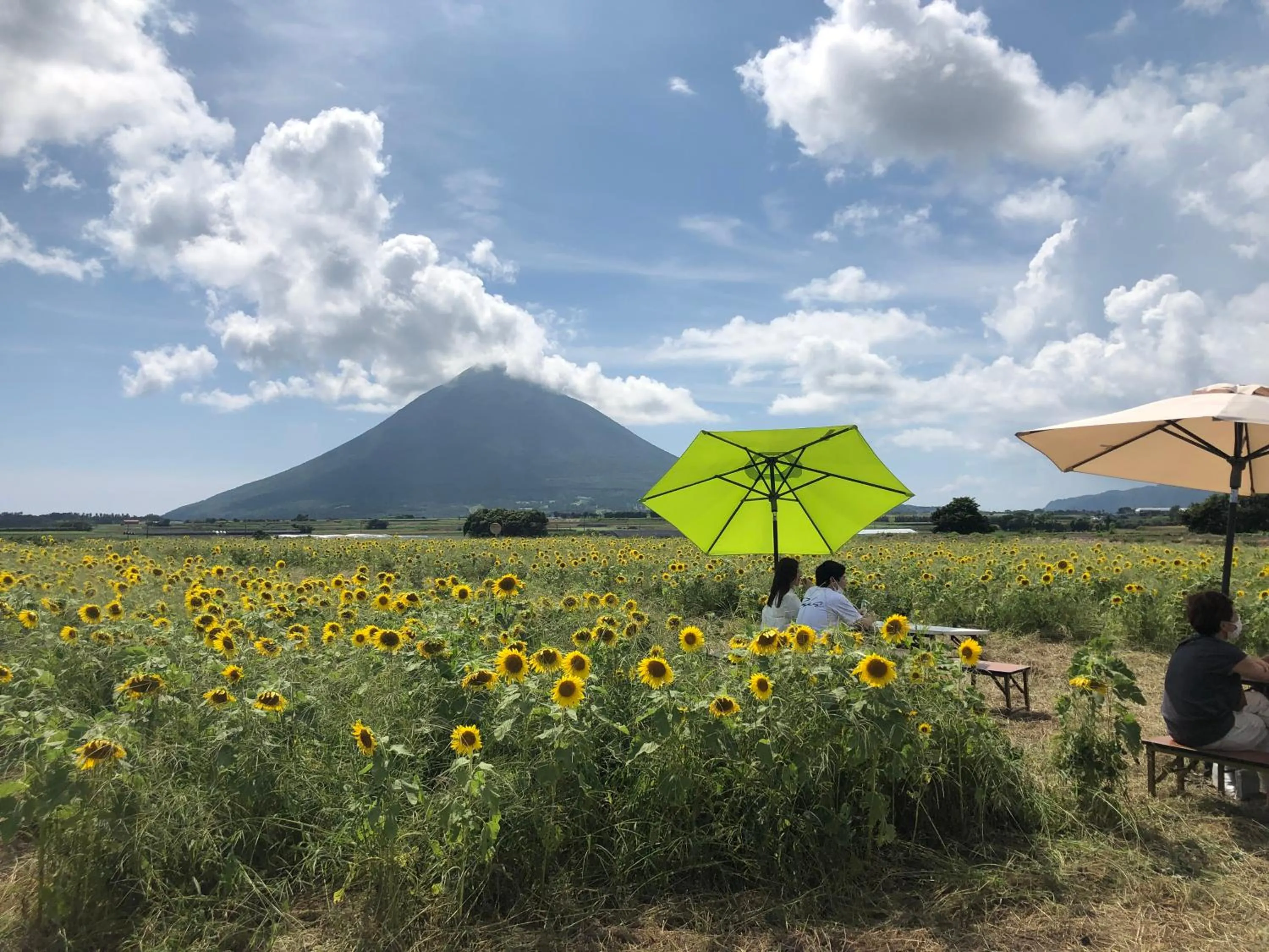 Family Ryokan Kawakyu with Showa Retro, private hot spring