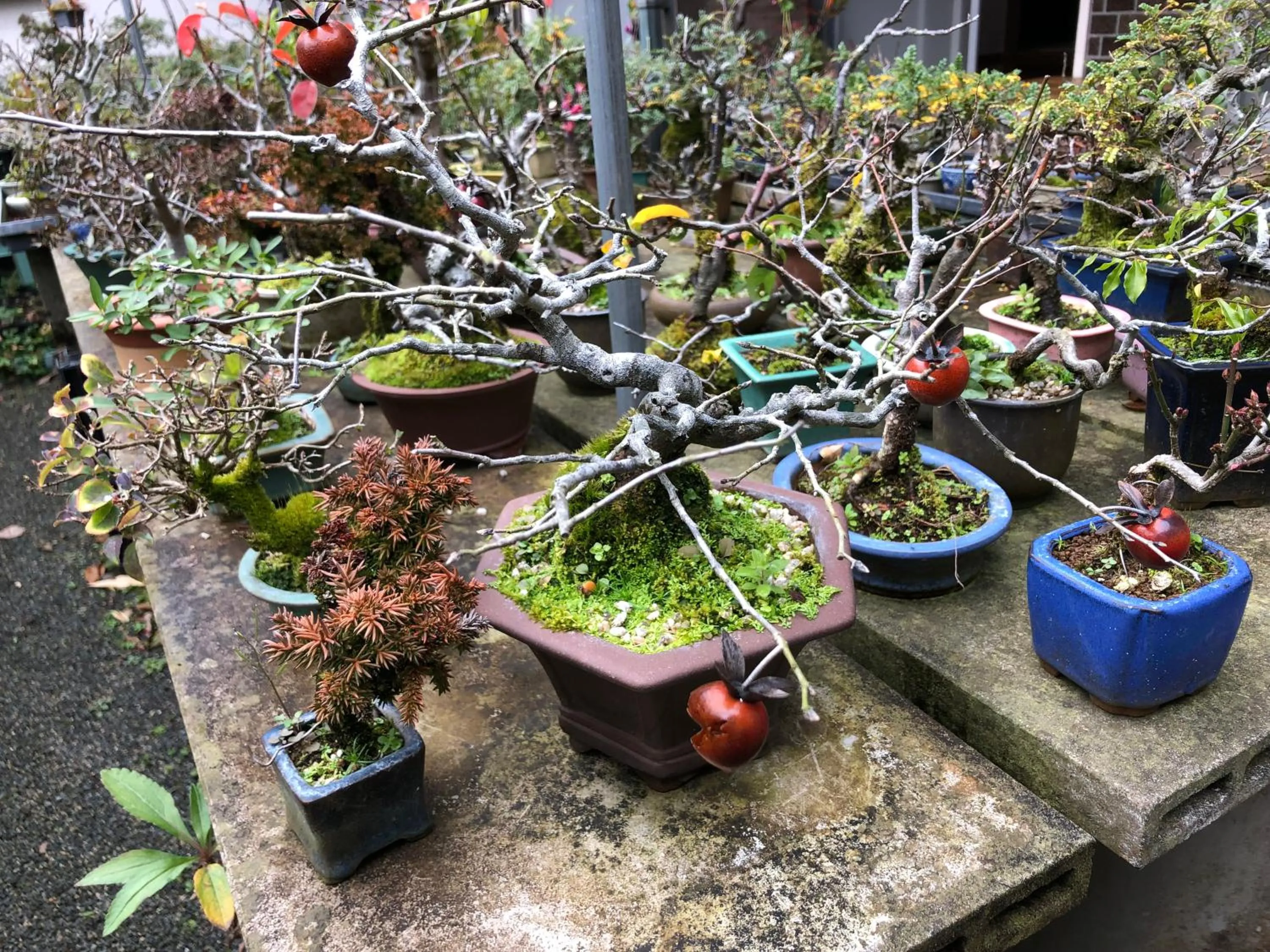 Family Ryokan Kawakyu with Showa Retro, private hot spring