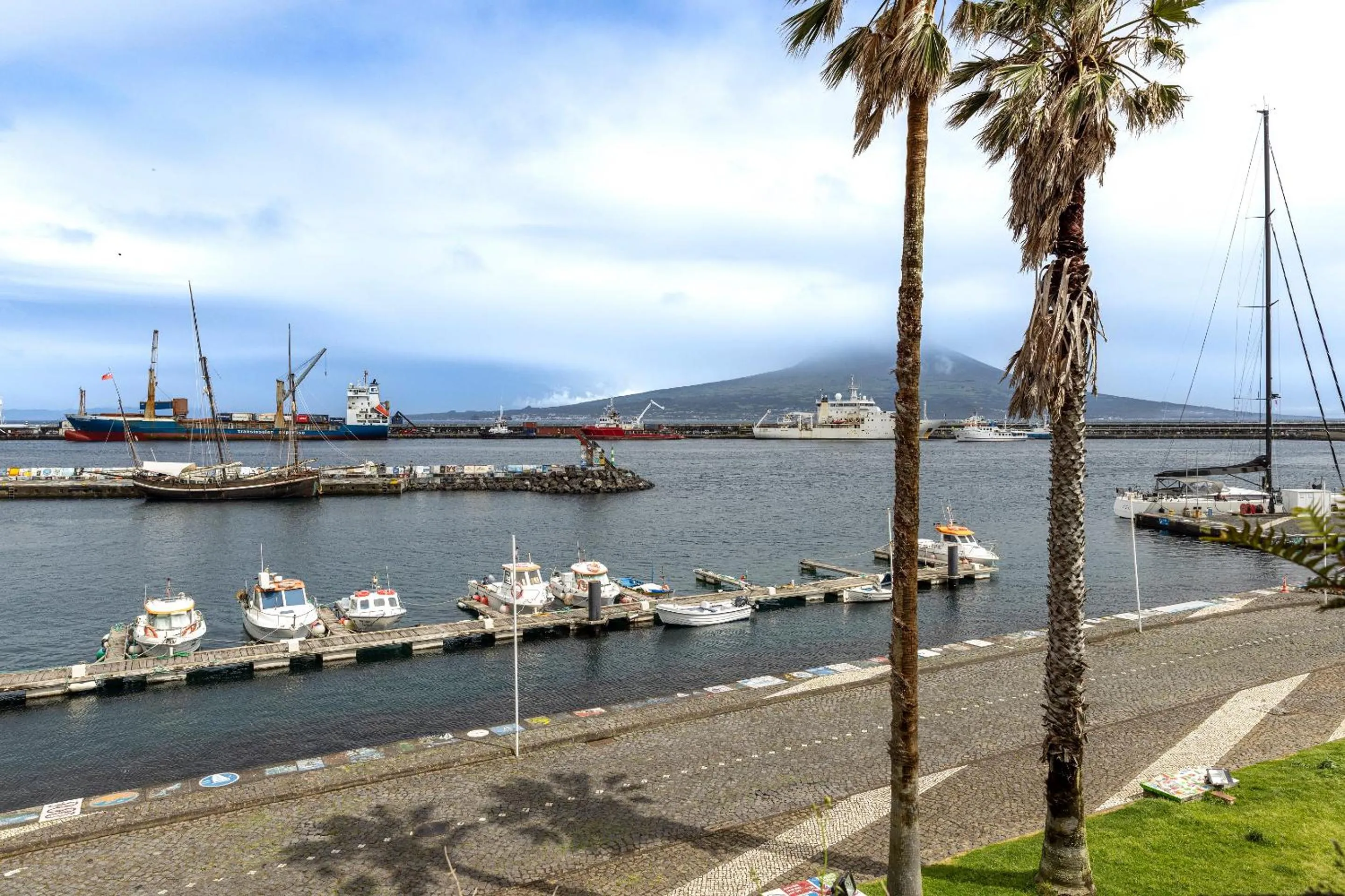 View (from property/room) in Pousada Forte da Horta