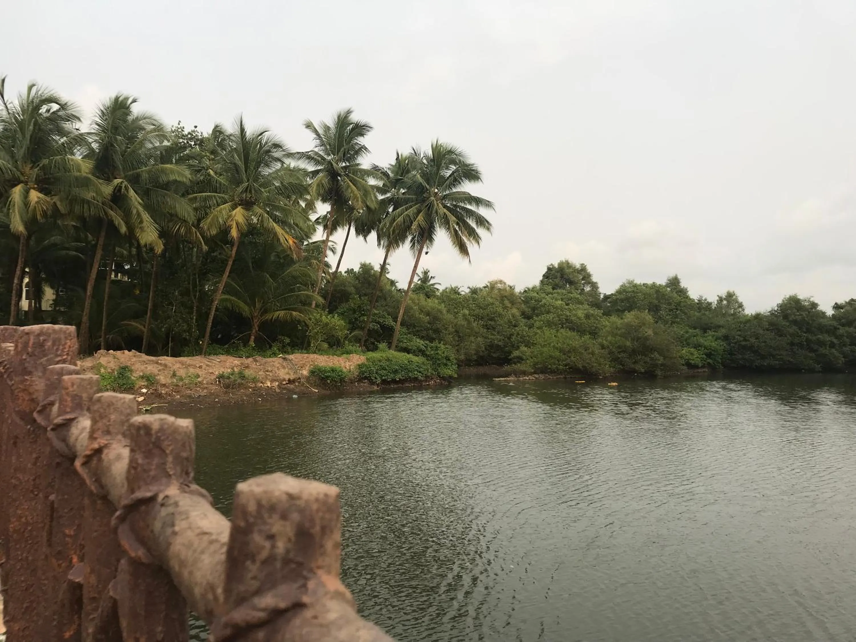 Natural landscape in Rankk Stays