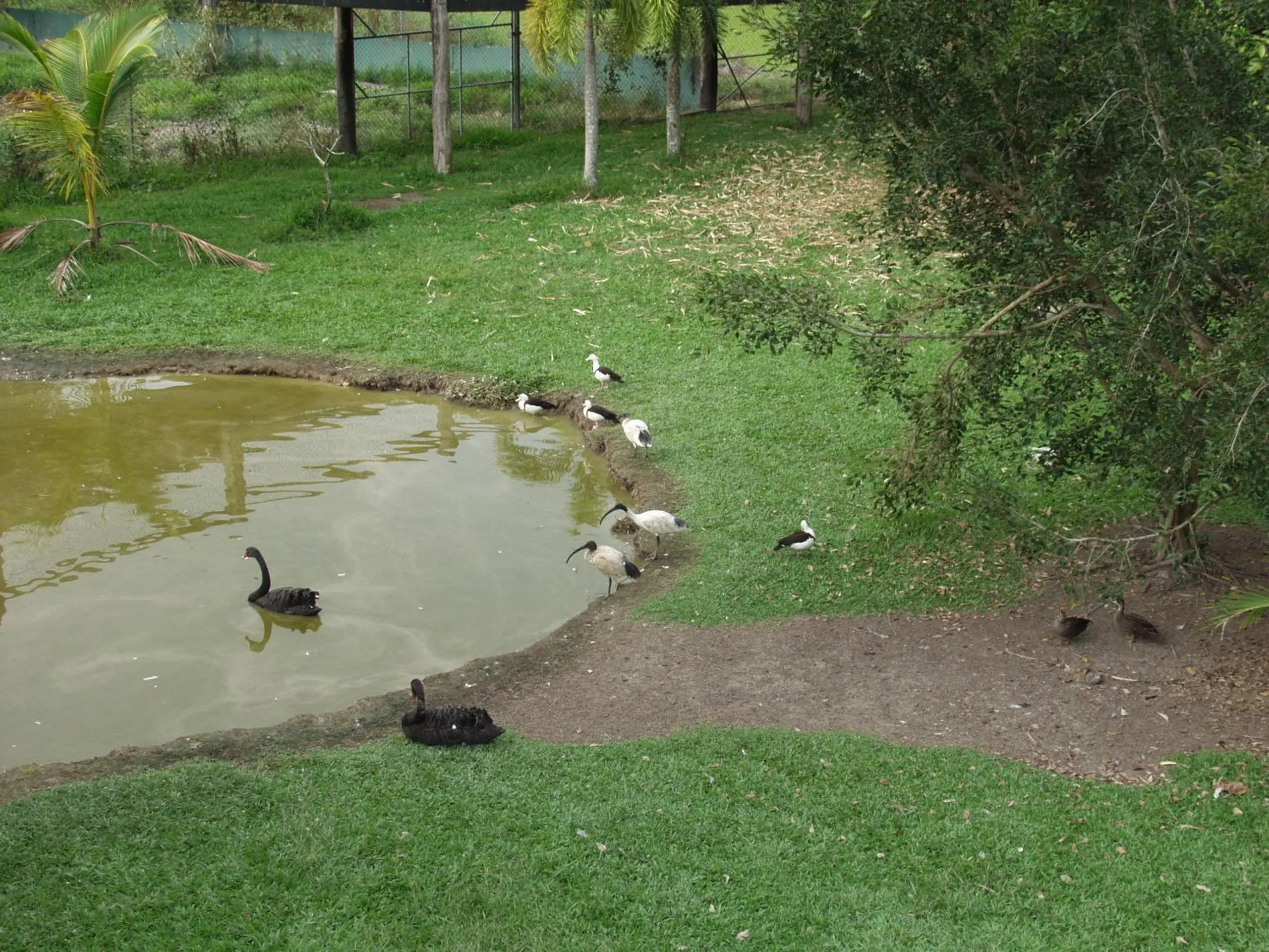 Area and facilities in Daintree Wild Bed & Breakfast