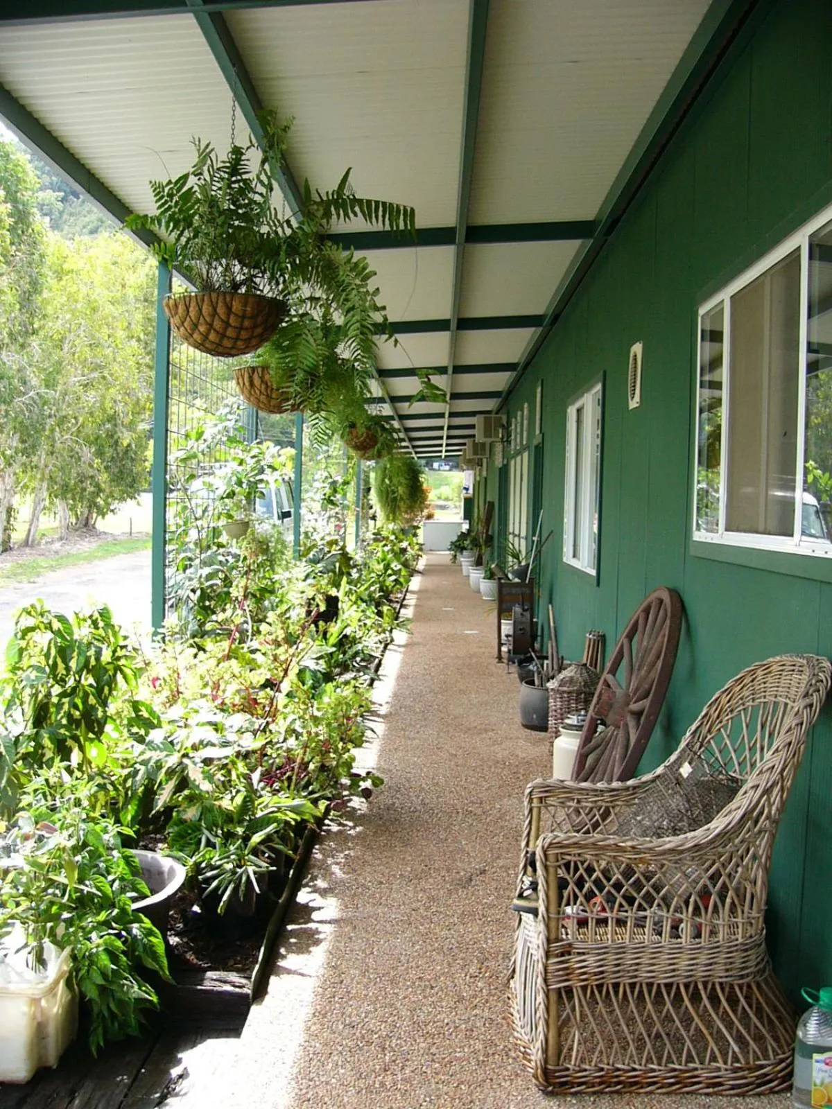 Balcony/Terrace in Daintree Wild Bed & Breakfast