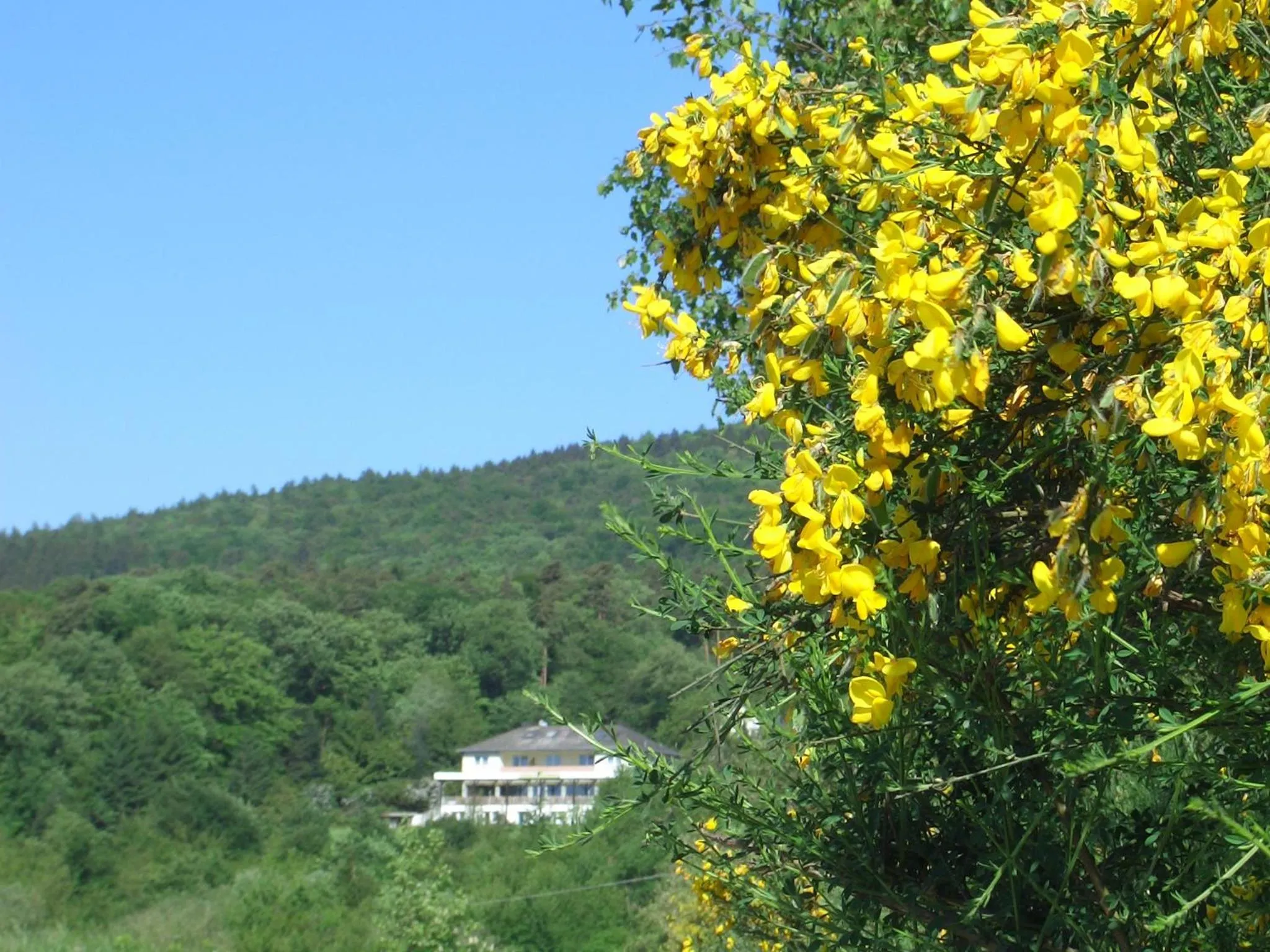 Other in Zum Rebhang Bed & Breakfast