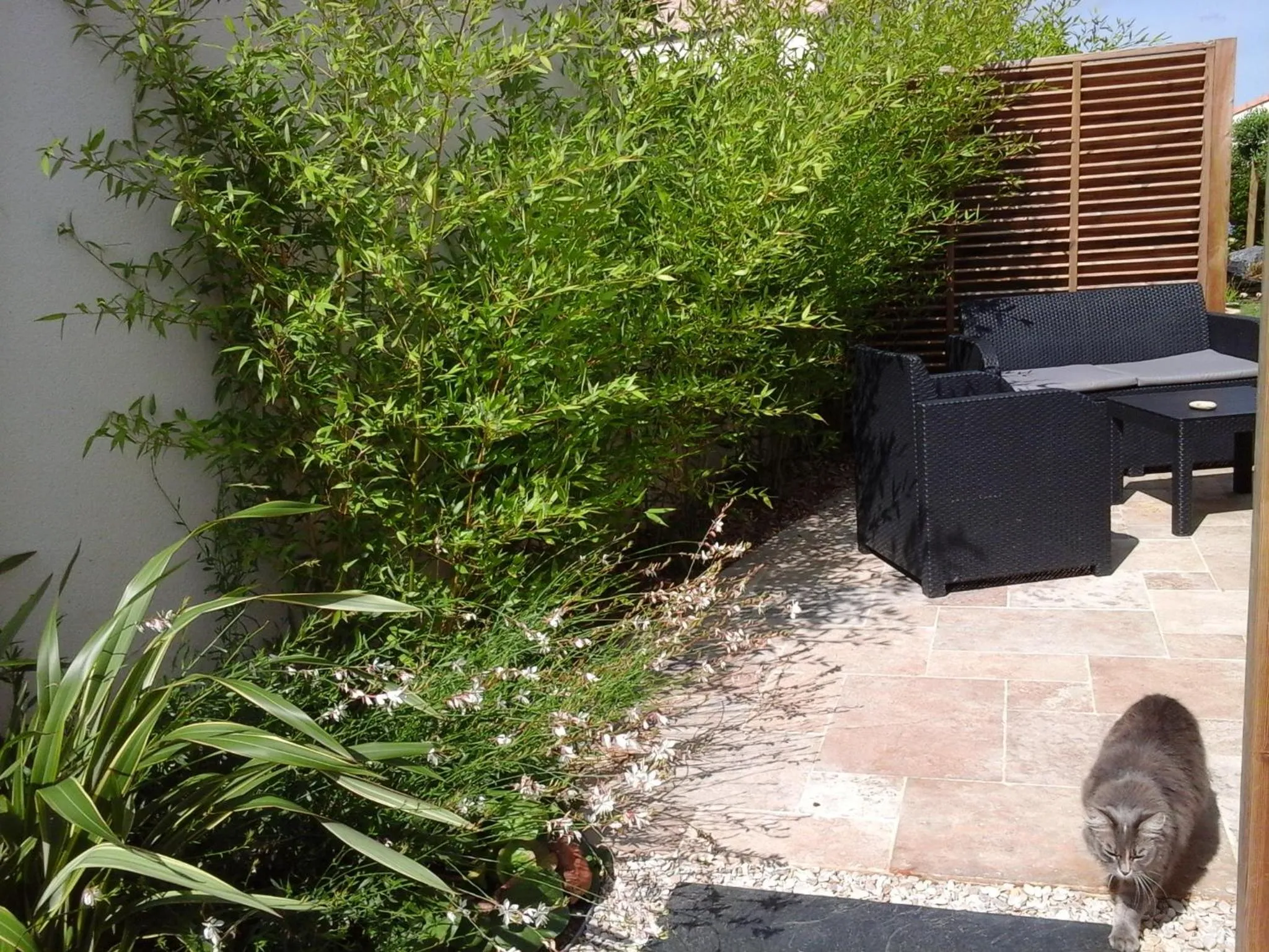 Patio in Le Temps d'une Pause