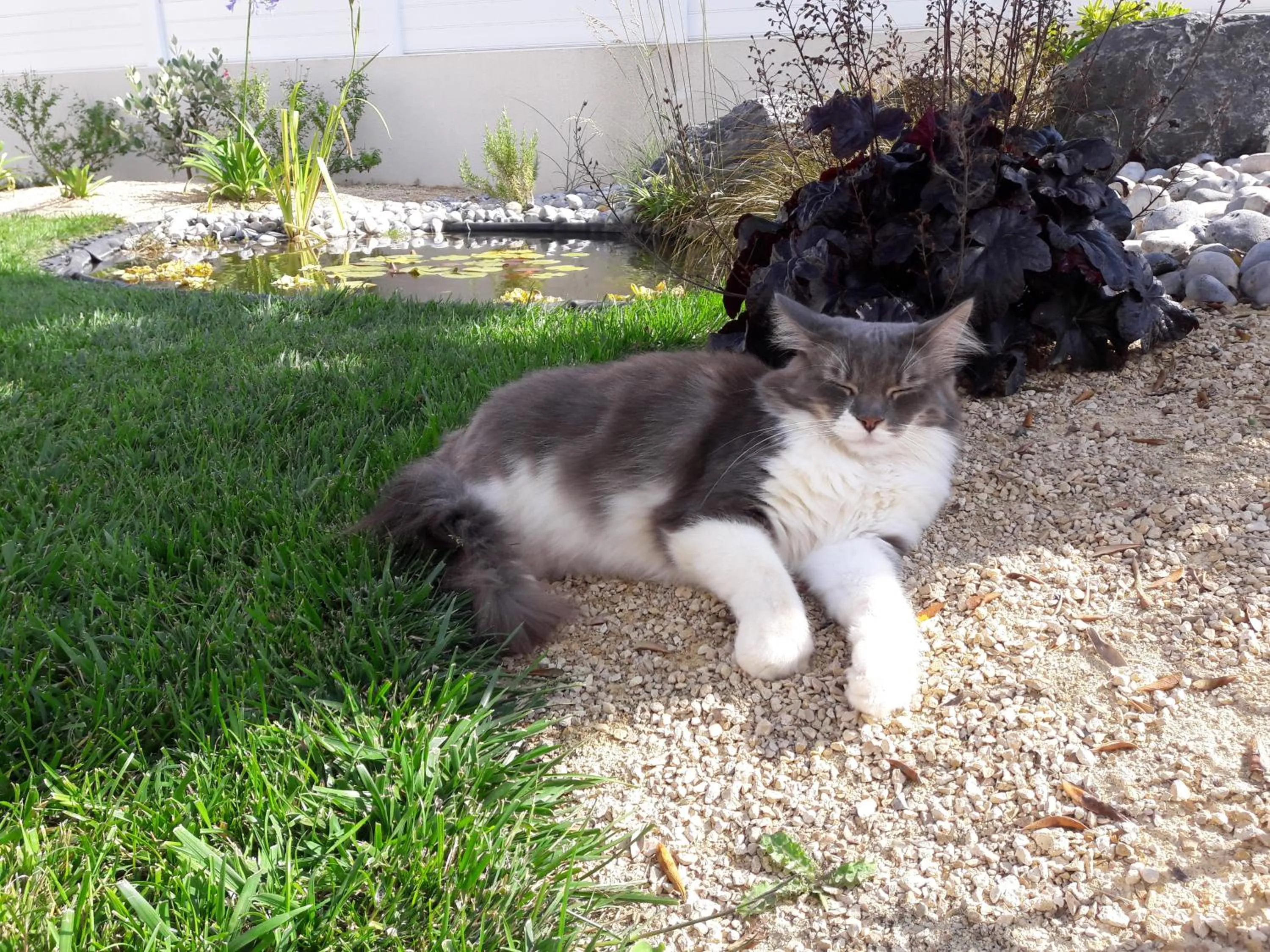 Animals in Le Temps d'une Pause