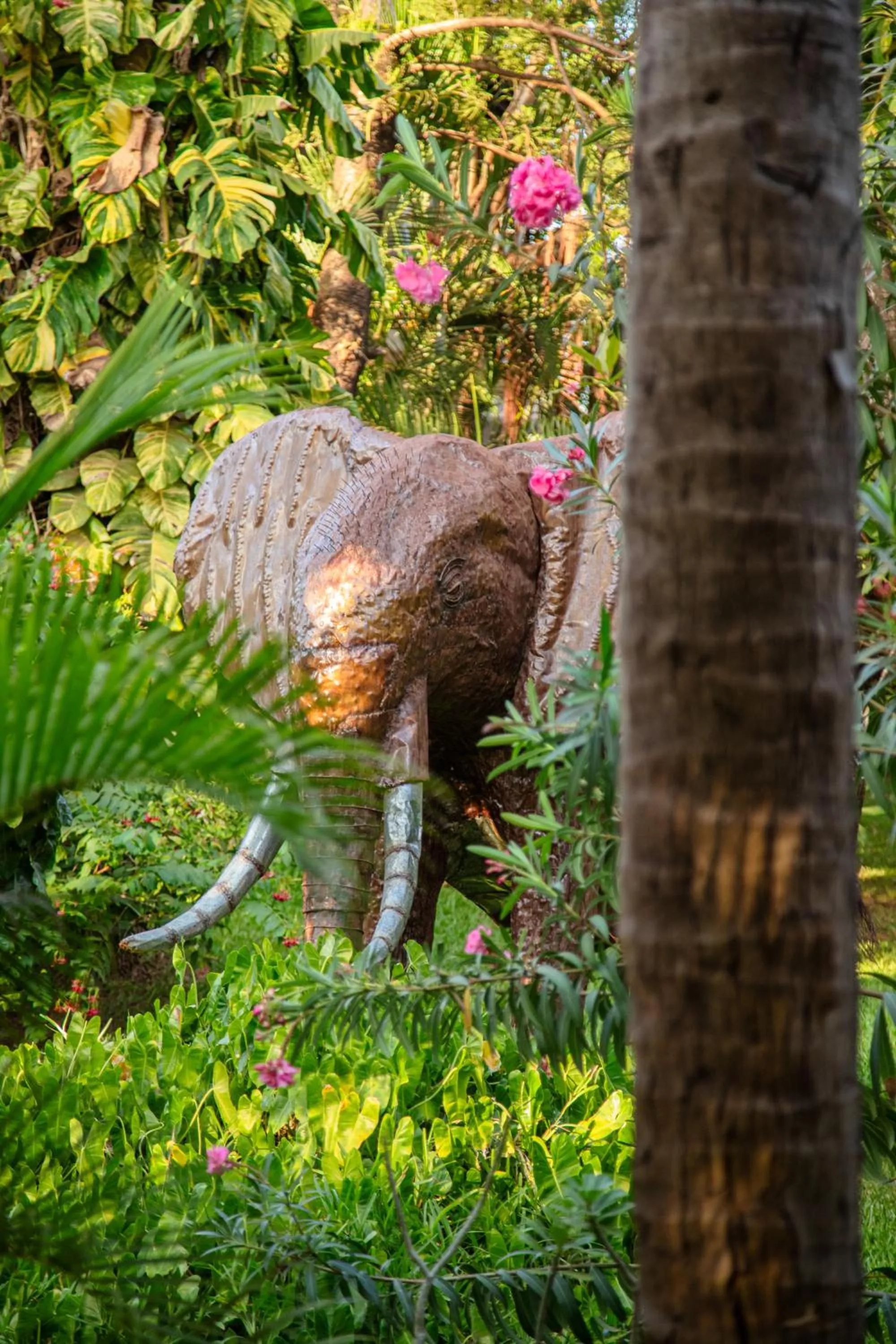 Garden in African House Resort