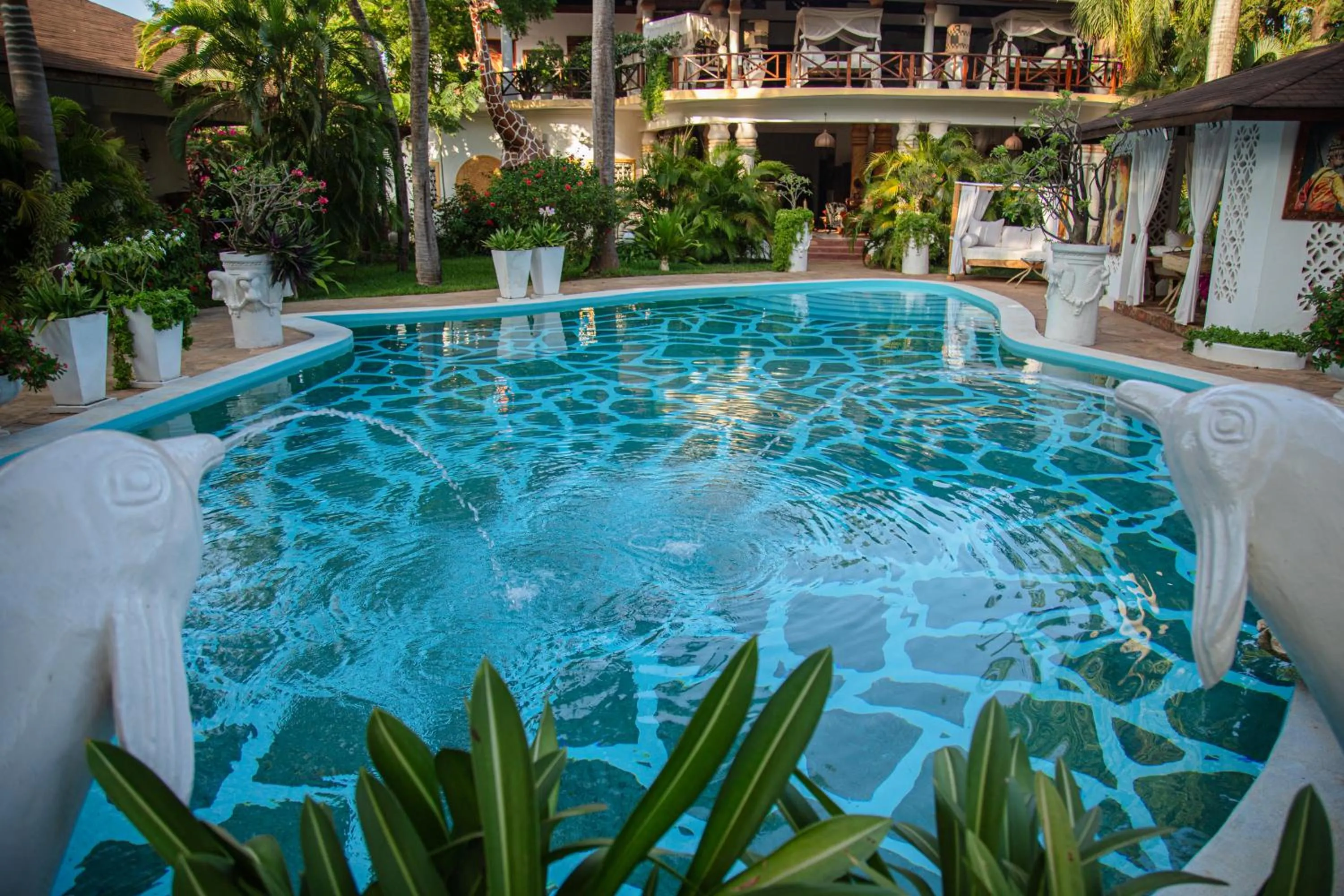 Swimming pool in African House Resort