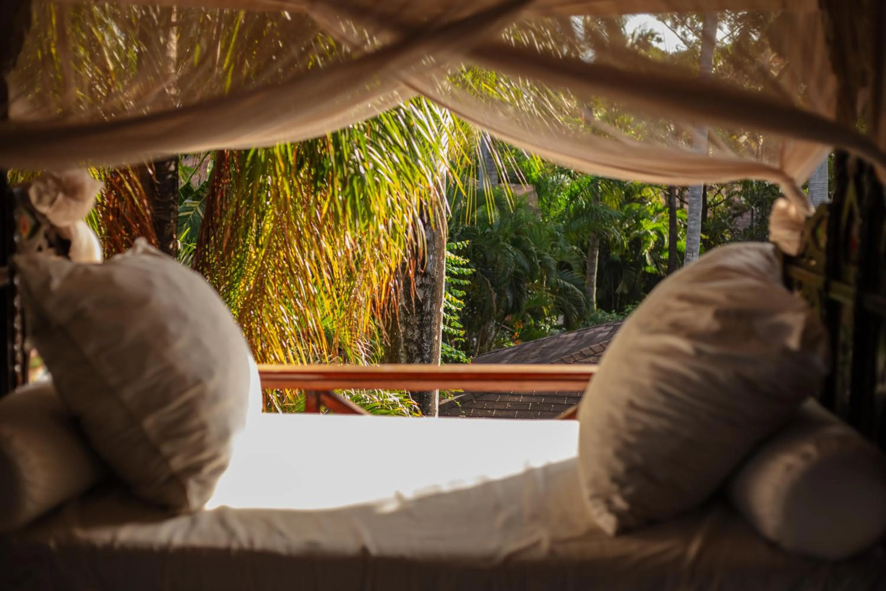 View (from property/room) in African House Resort