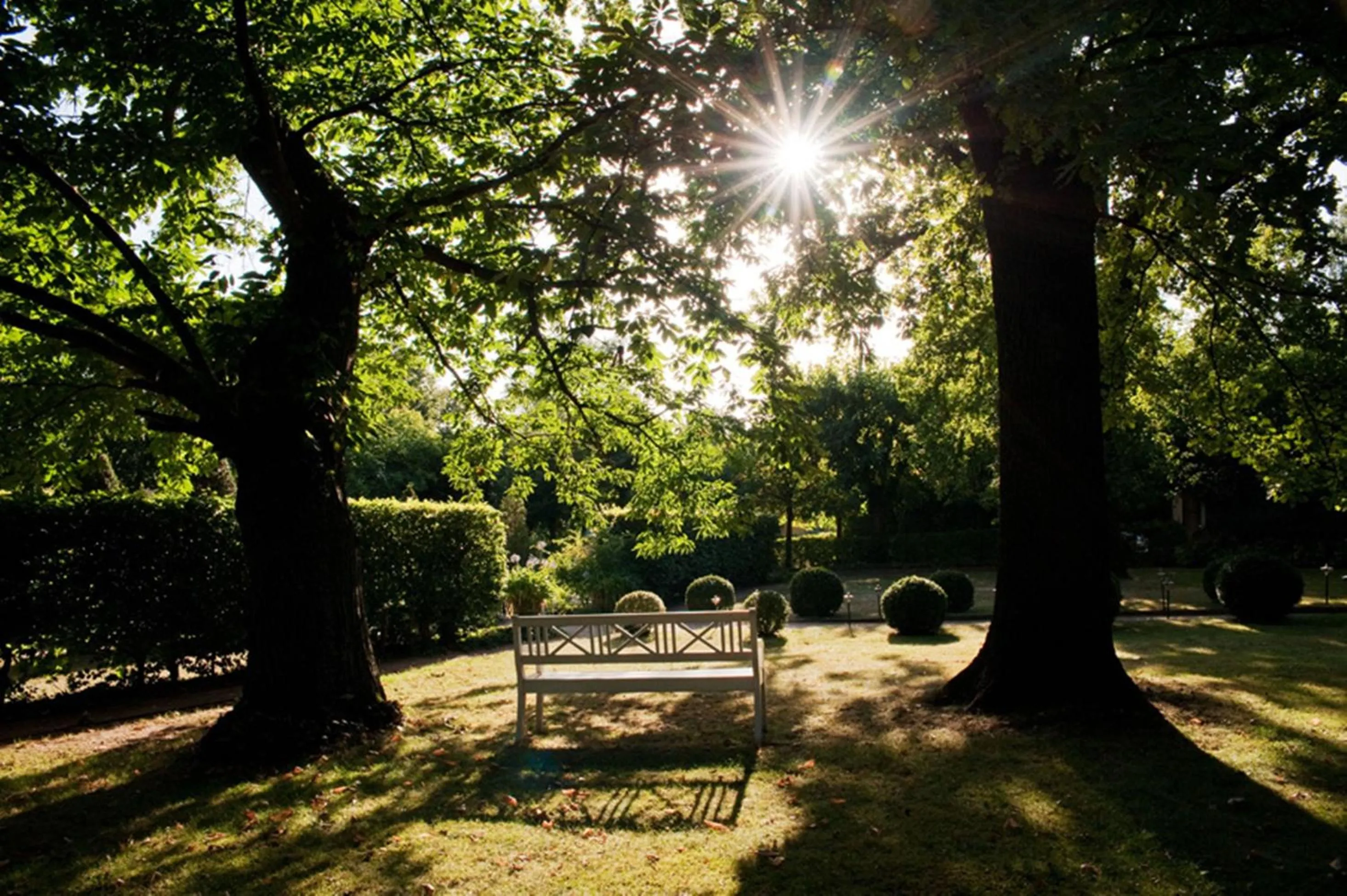 Garden in Villa Sorgenfrei und Restaurant Atelier Sanssouci