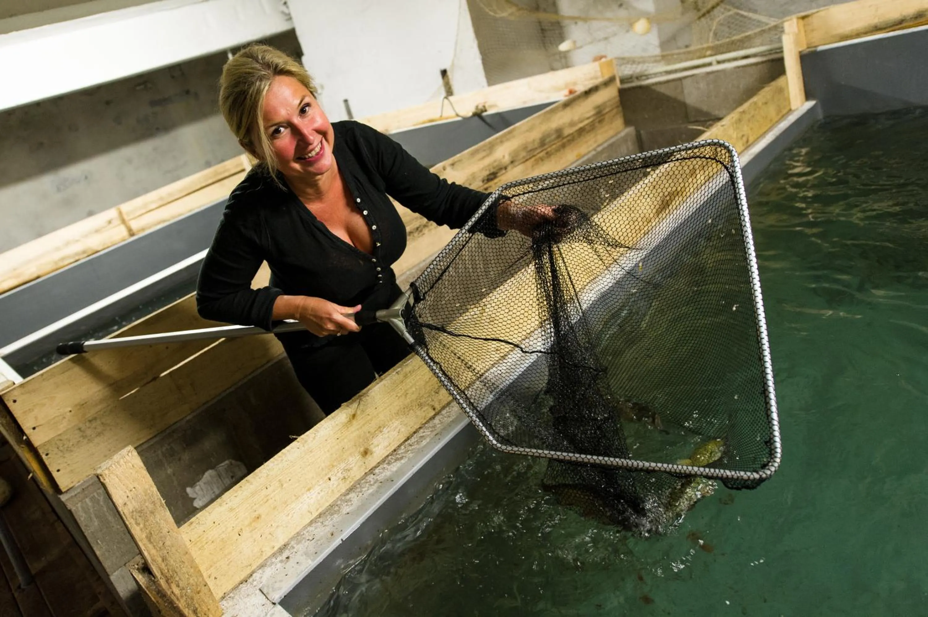 Other in Luční bouda