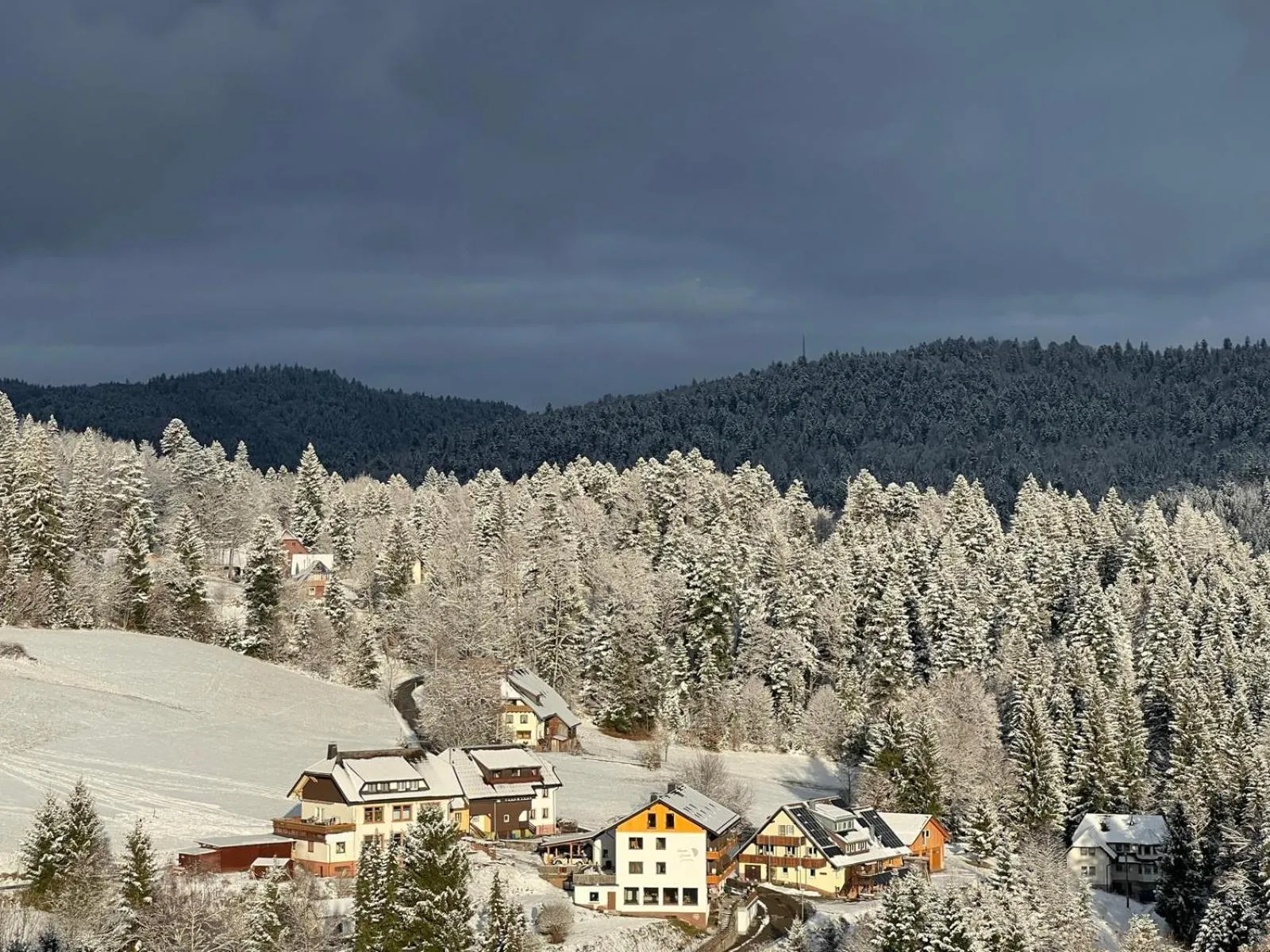 Natural landscape in Boutique Hotel & Apartments Pension Sternen
