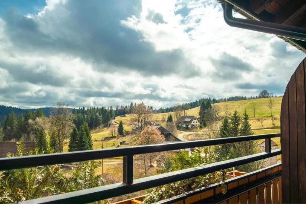 Balcony/Terrace in Boutique Hotel & Apartments Pension Sternen