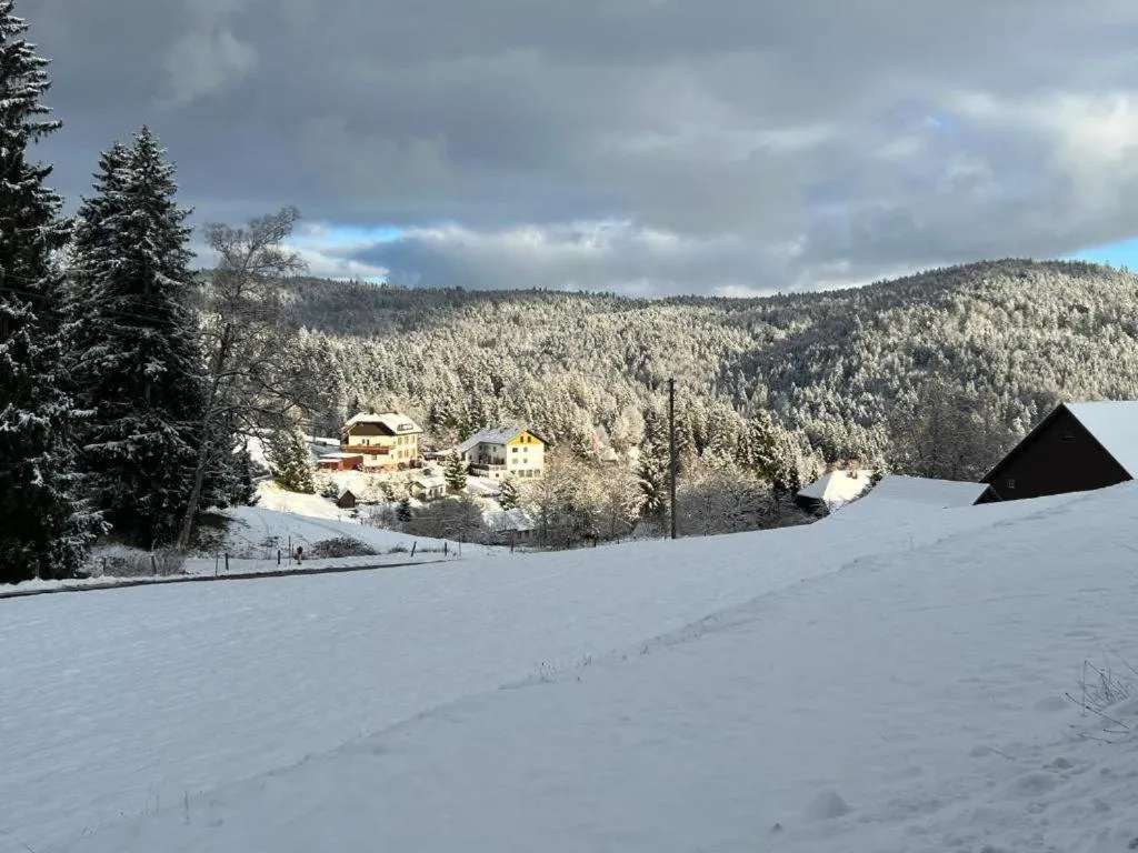 Natural landscape in Boutique Hotel & Apartments Pension Sternen
