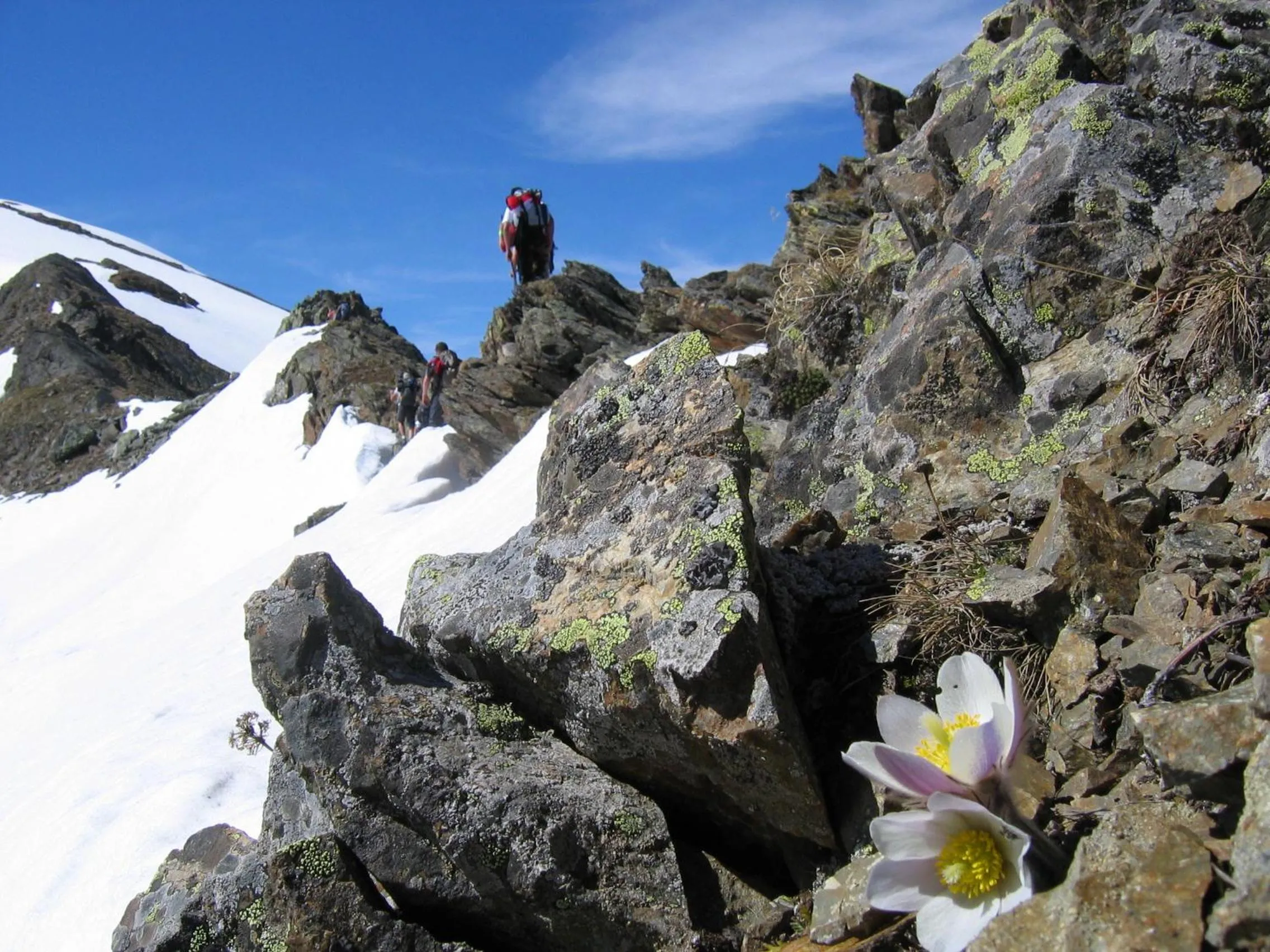 Hiking in Vital Hotel Ortlerspitz
