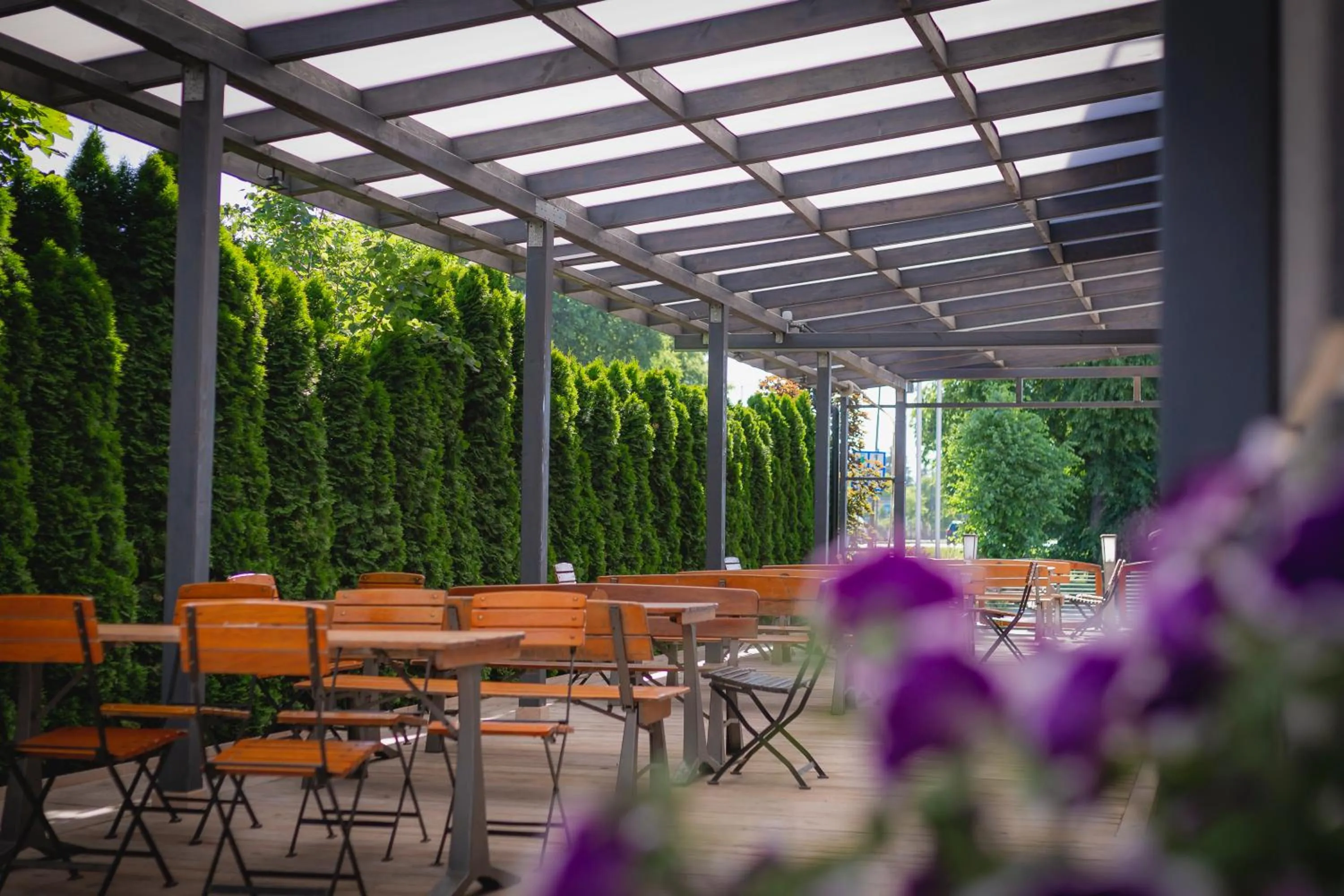 Patio in Hotel Pikul