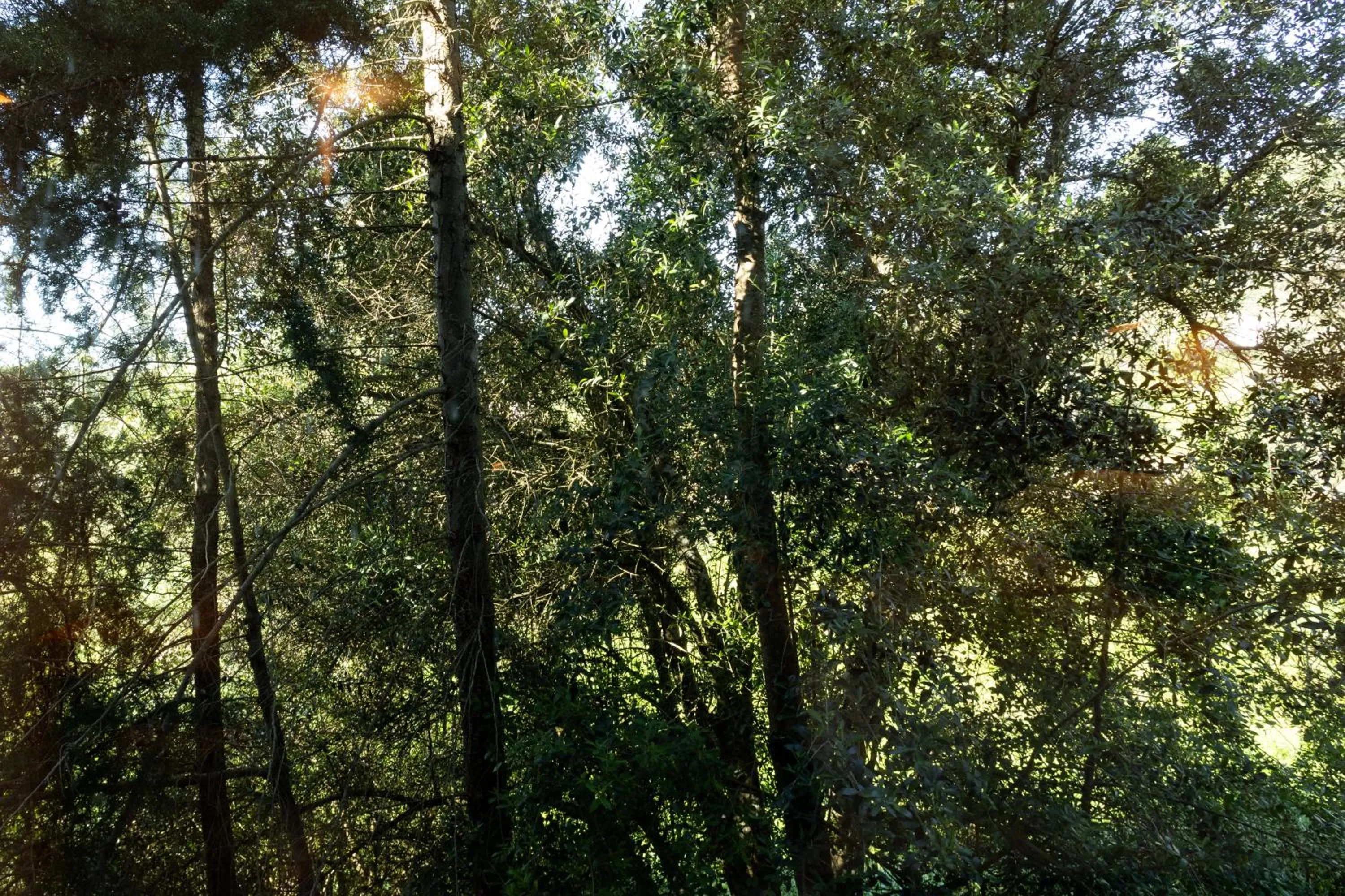 View (from property/room) in Vale do Gaio Hotel
