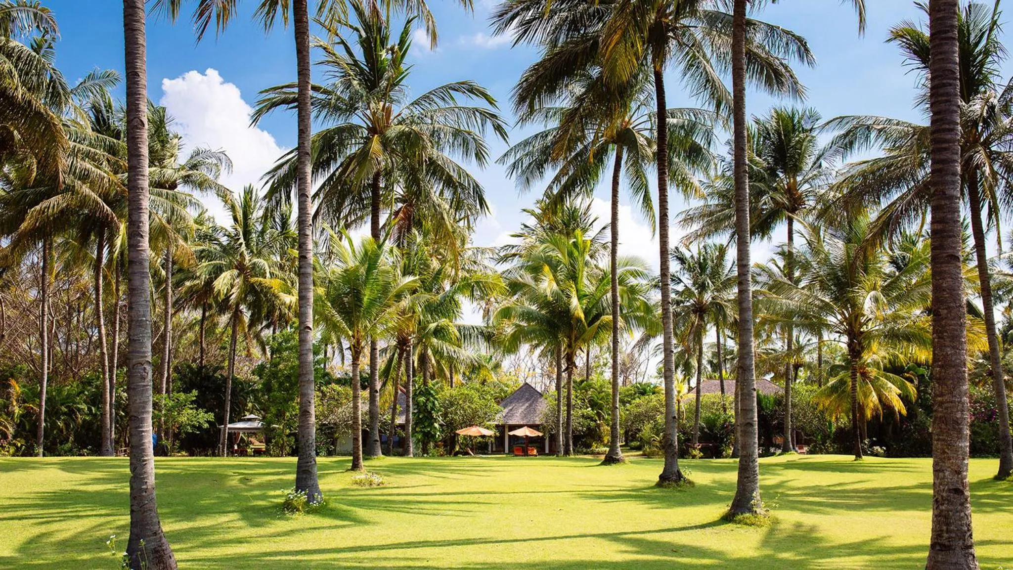 Natural landscape in The Anandita by Elite Havens