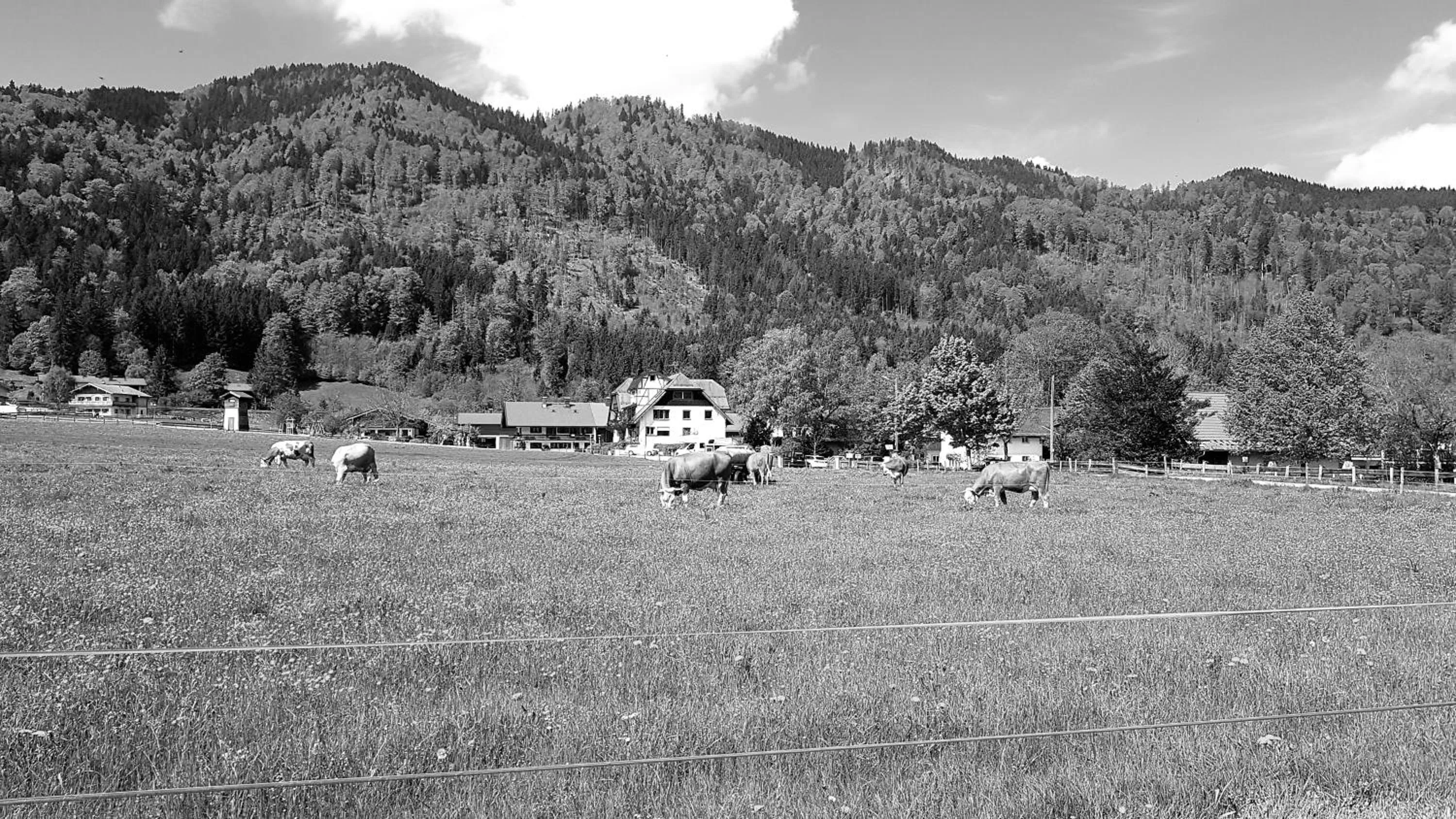 Garden view in s´Quartier am Schliersee