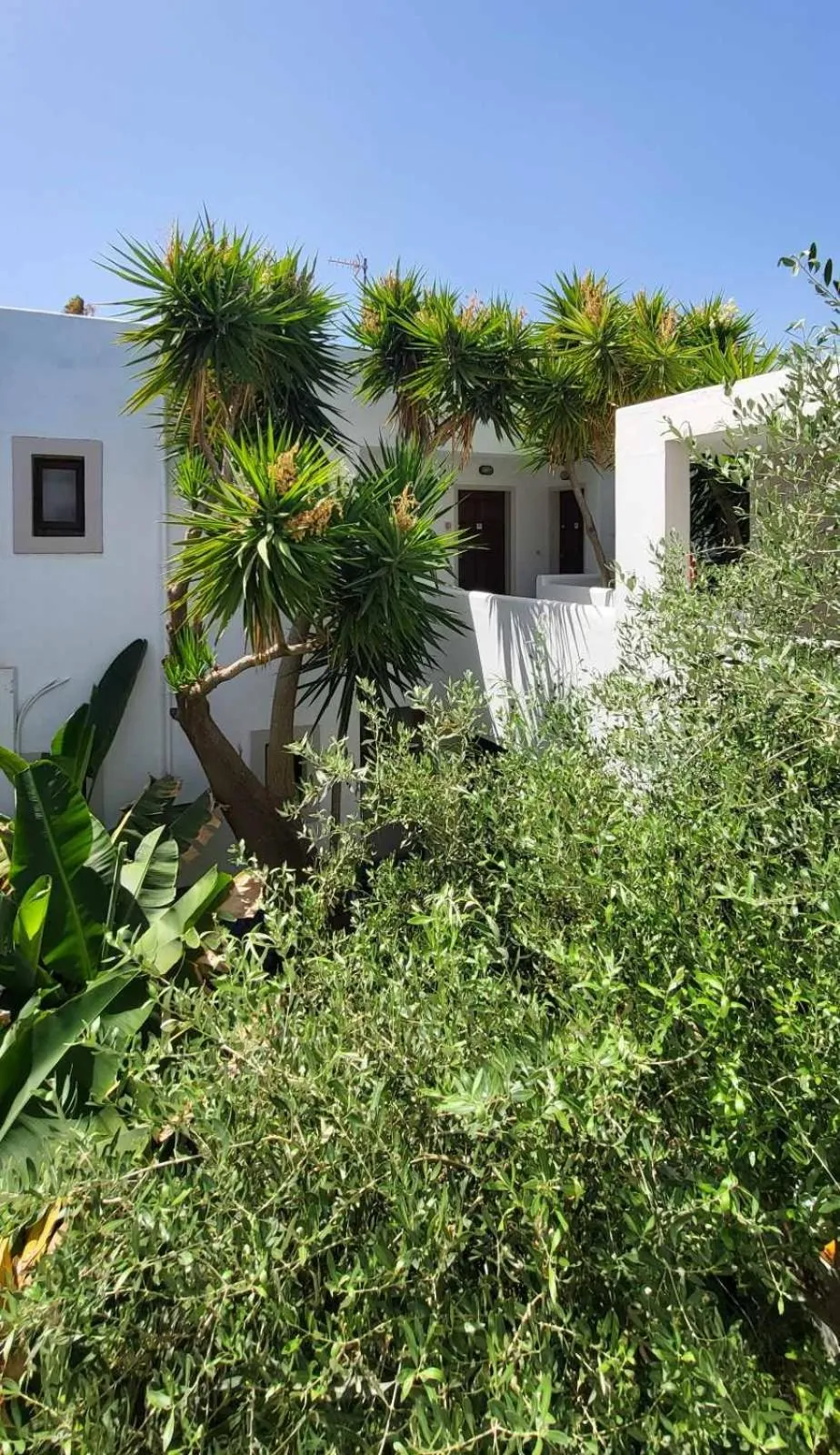 View (from property/room) in Tree of Life Art Hotel